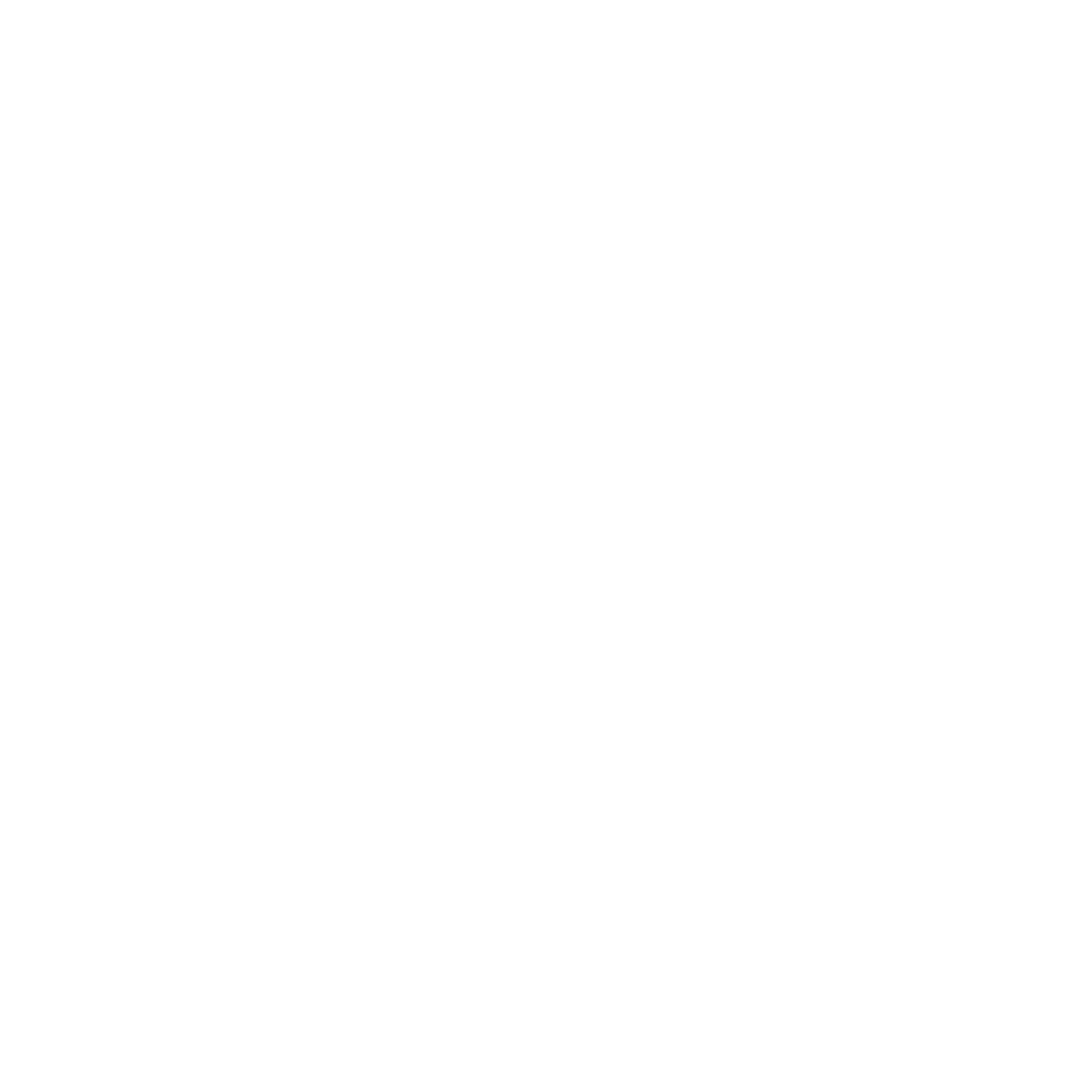 American Exchange Project