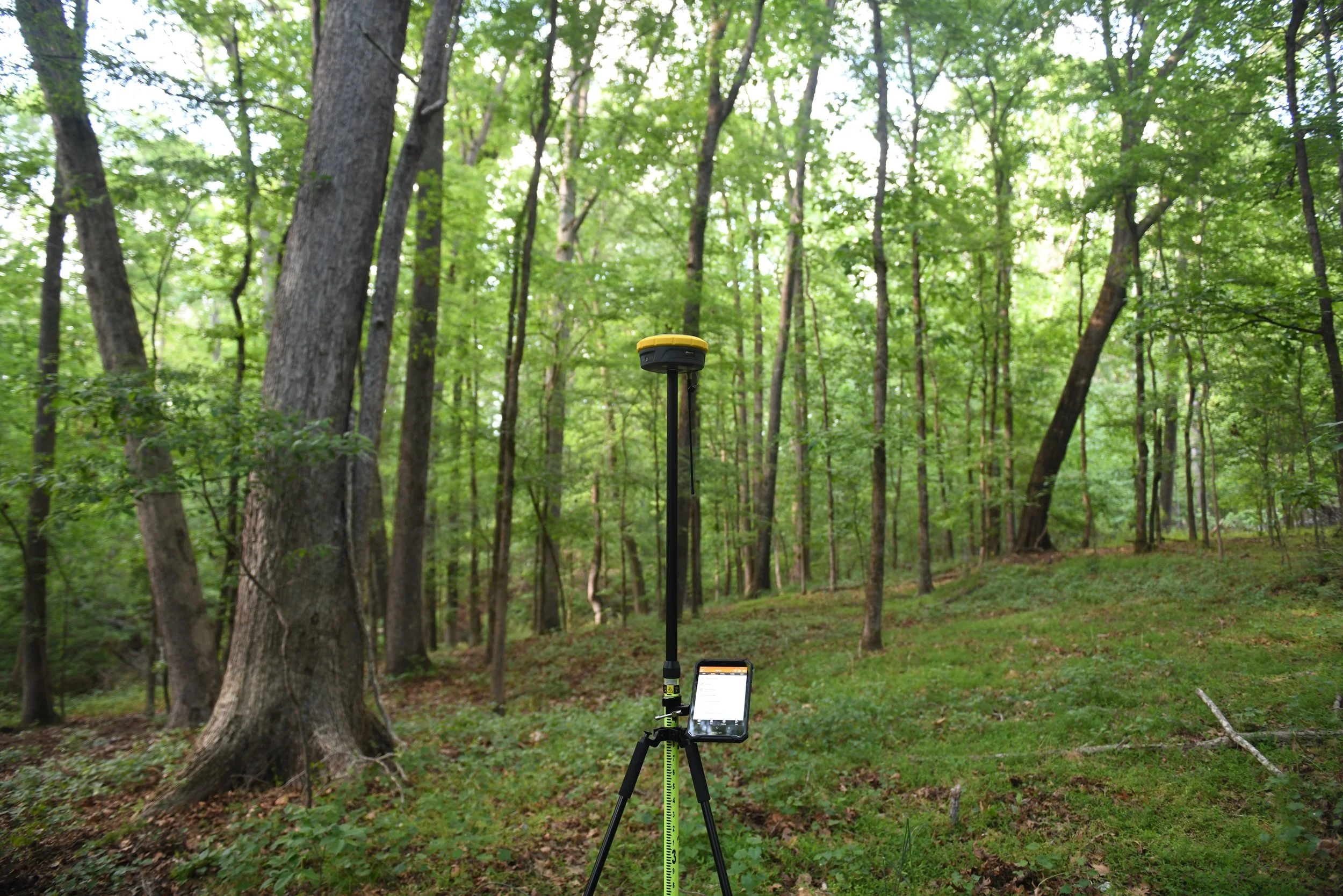 A forest with tall trees and green foliage, with surveying equipment and a tablet mounted on a tripod in the foreground.