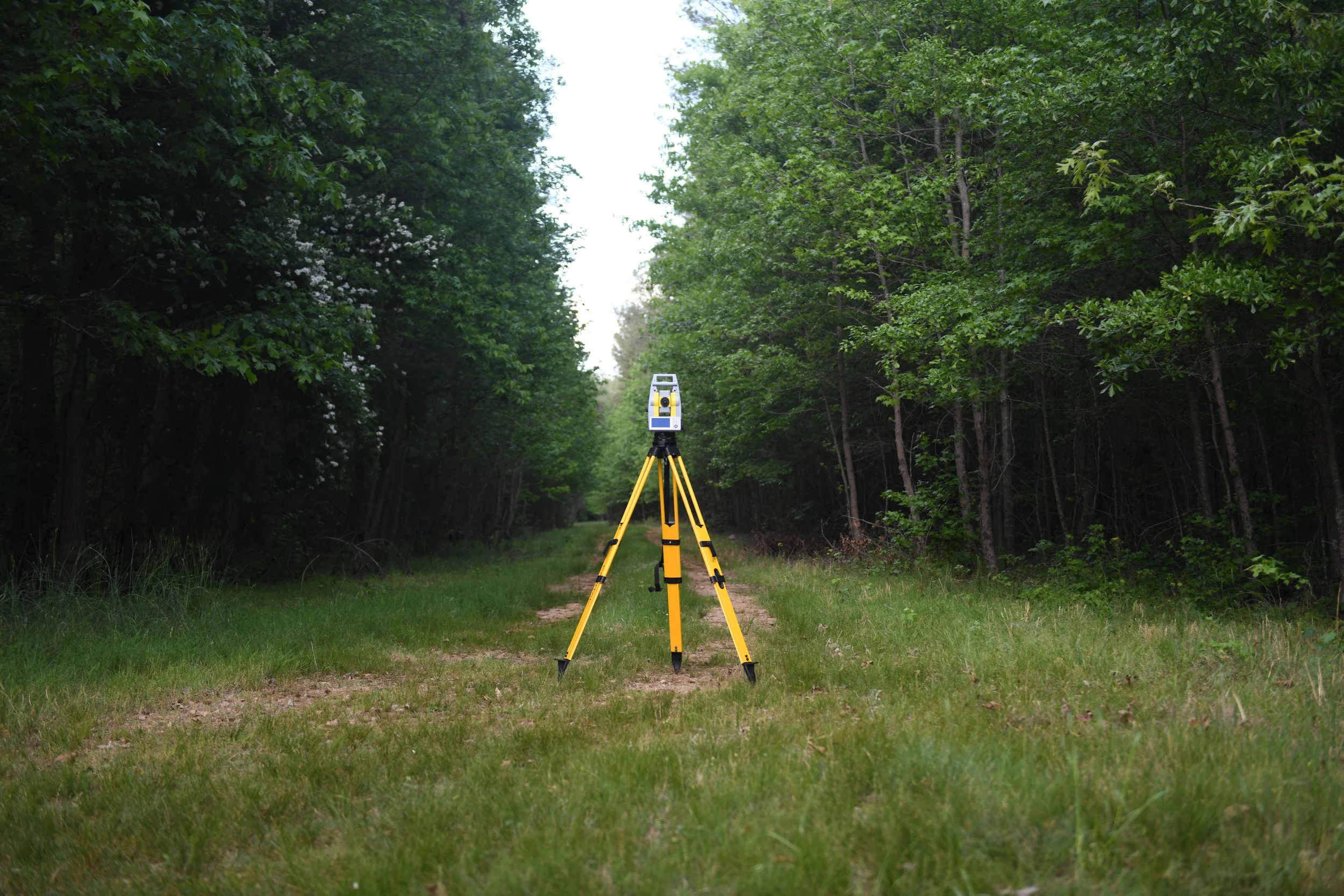 A surveying instrument on a yellow tripod set up in a forest clearing, with dense green trees on either side.