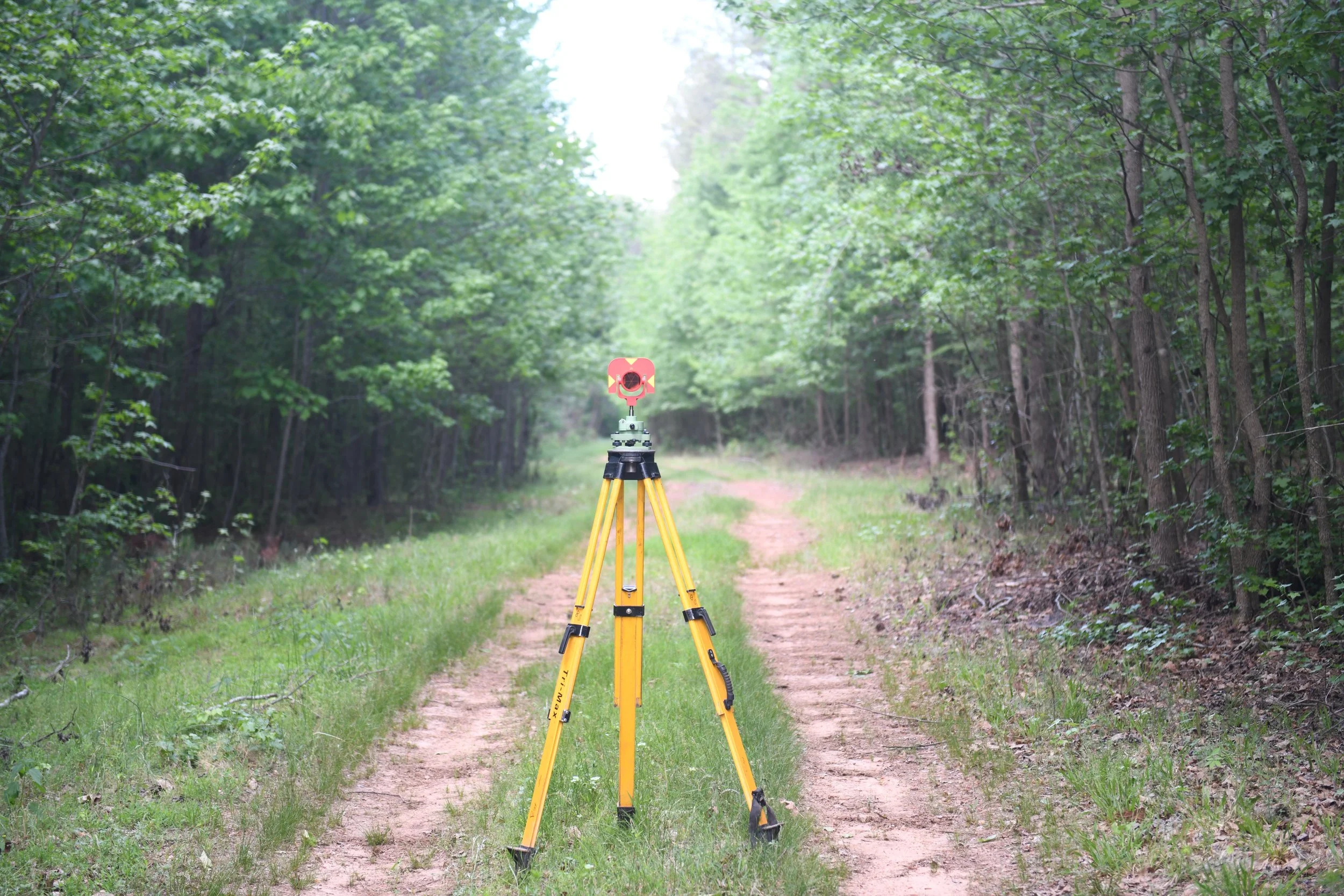A surveying theodolite on a yellow tripod set up on a dirt path through a green forest.