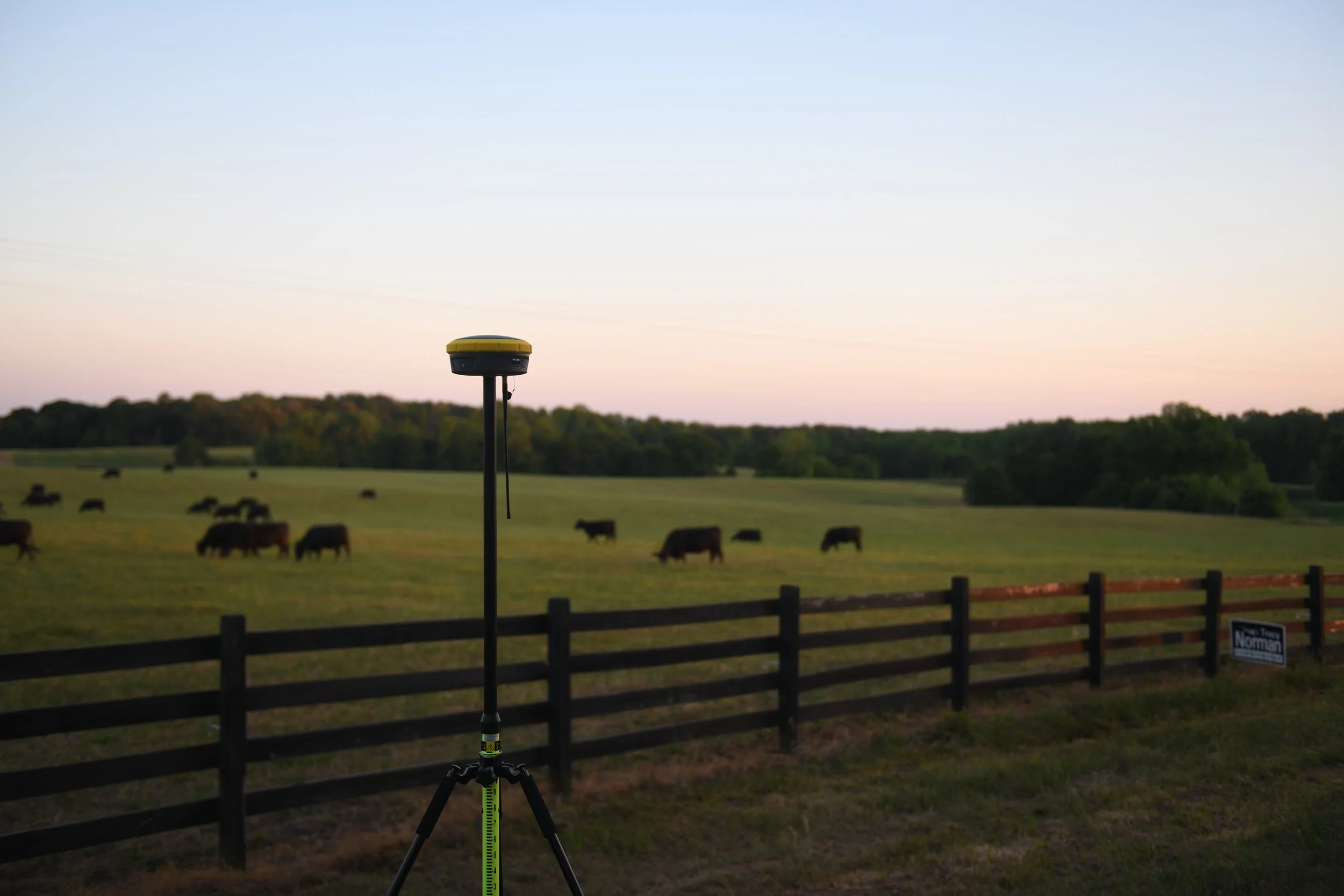 A surveying instrument on a tripod is set up in a field with grazing cows and trees in the background during sunset or sunrise.