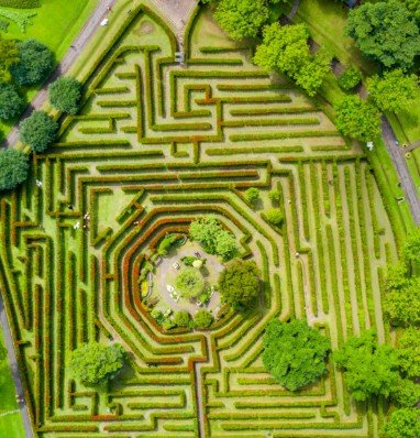 A garden maze overview.