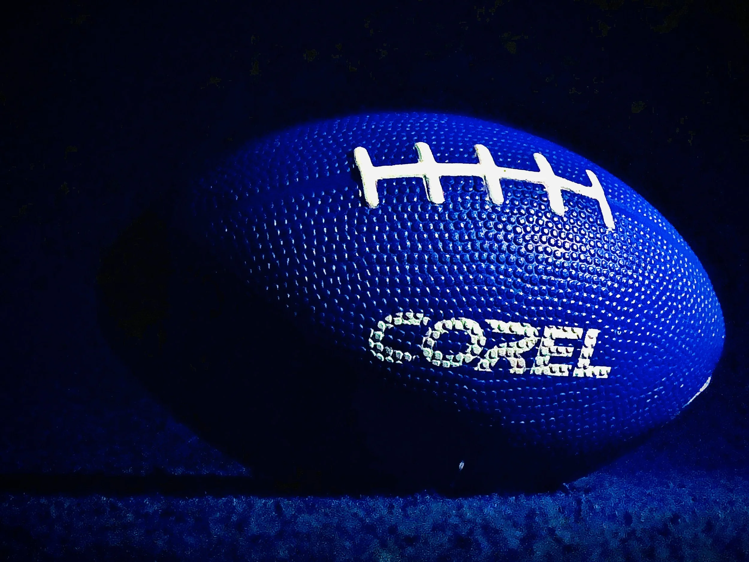 Corel Blue 2021 - Copy.jpg