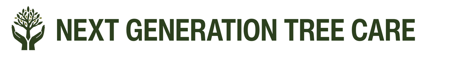 Next Generation Tree Care