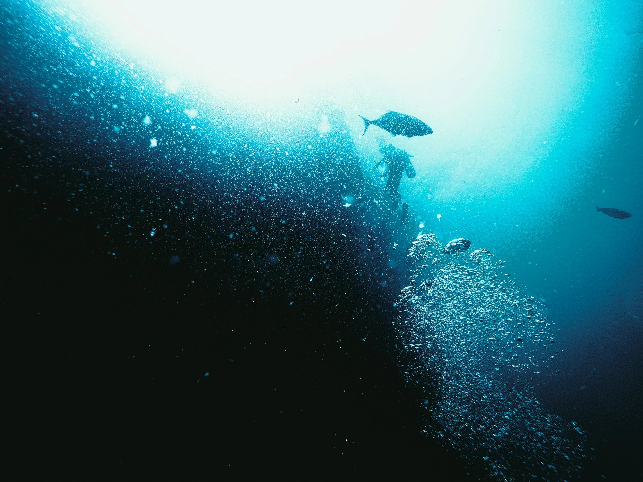 inconsciente y sueños