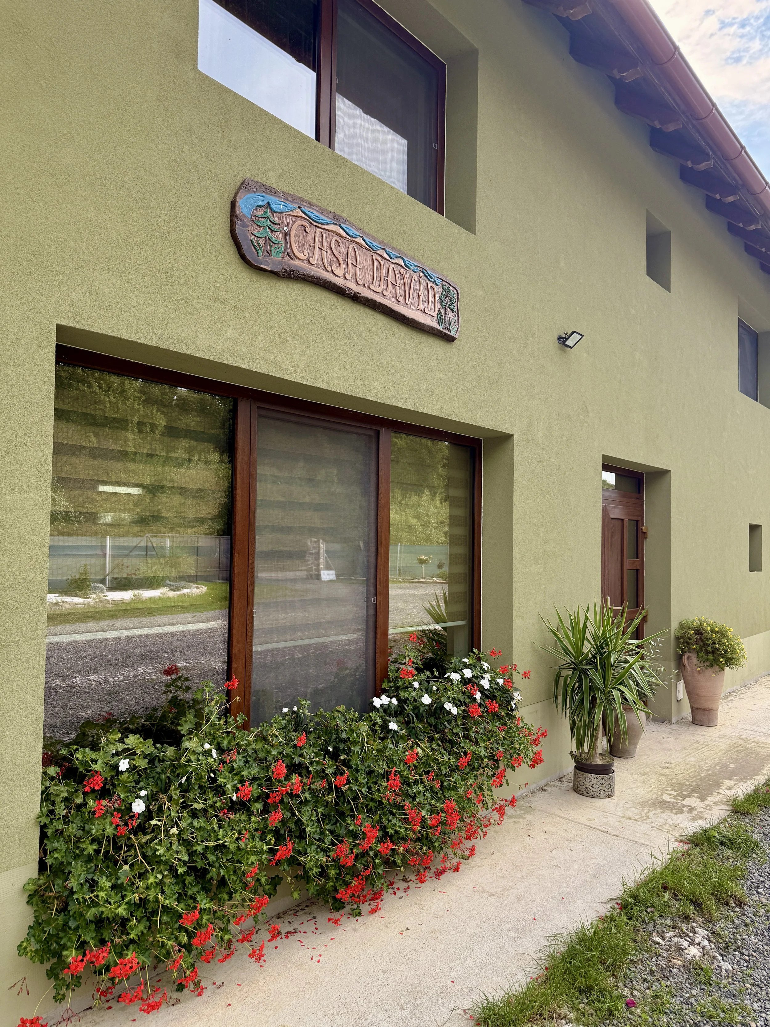 Green building with a sign that says 'Casa David' above a large window with red and white flowers in front, and various potted plants to the right of the entrance.