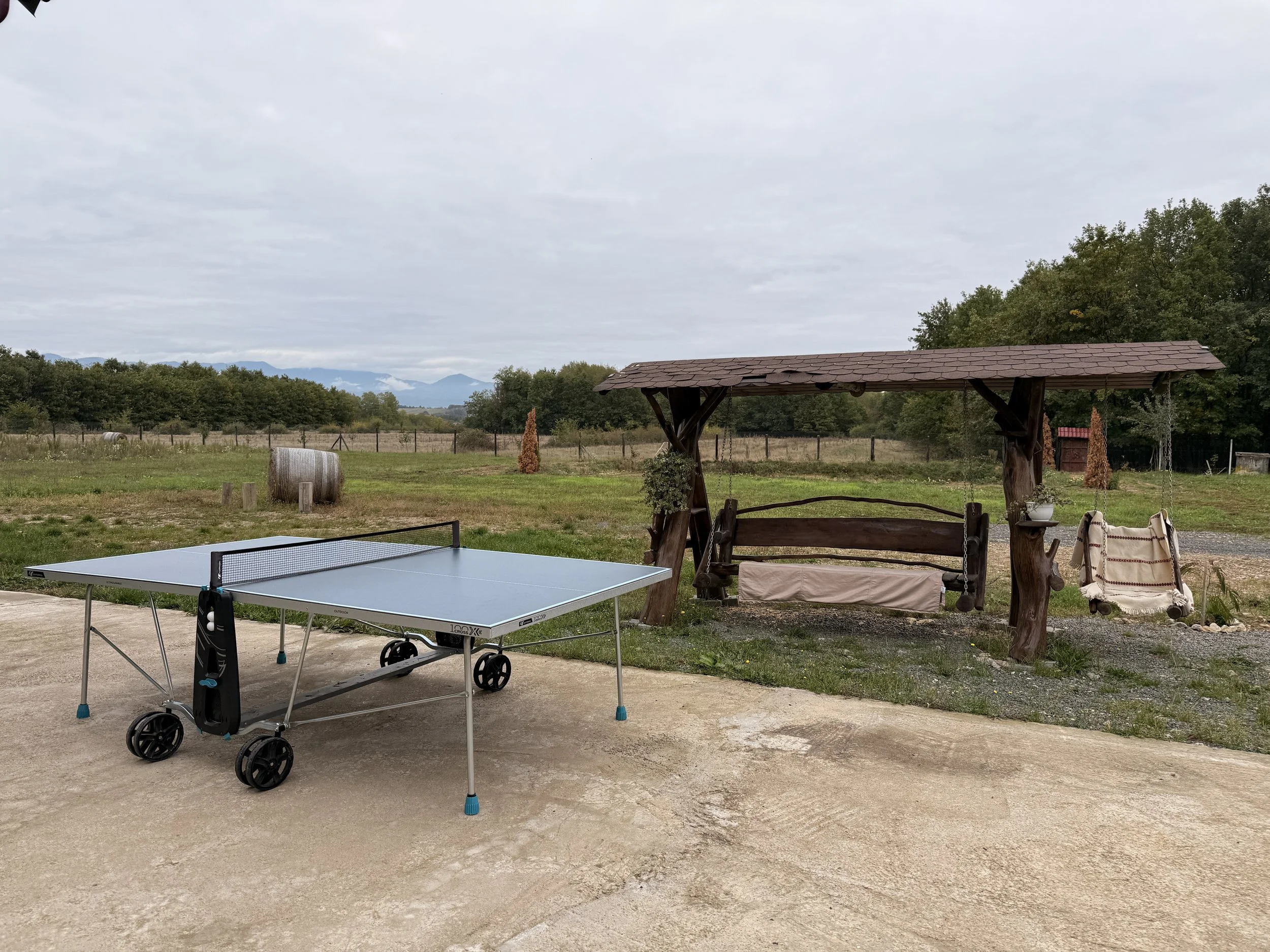 Outdoor scene with a blue ping pong table and a wooden swing set under a roof, on a concrete surface with a grassy field and trees in the background.