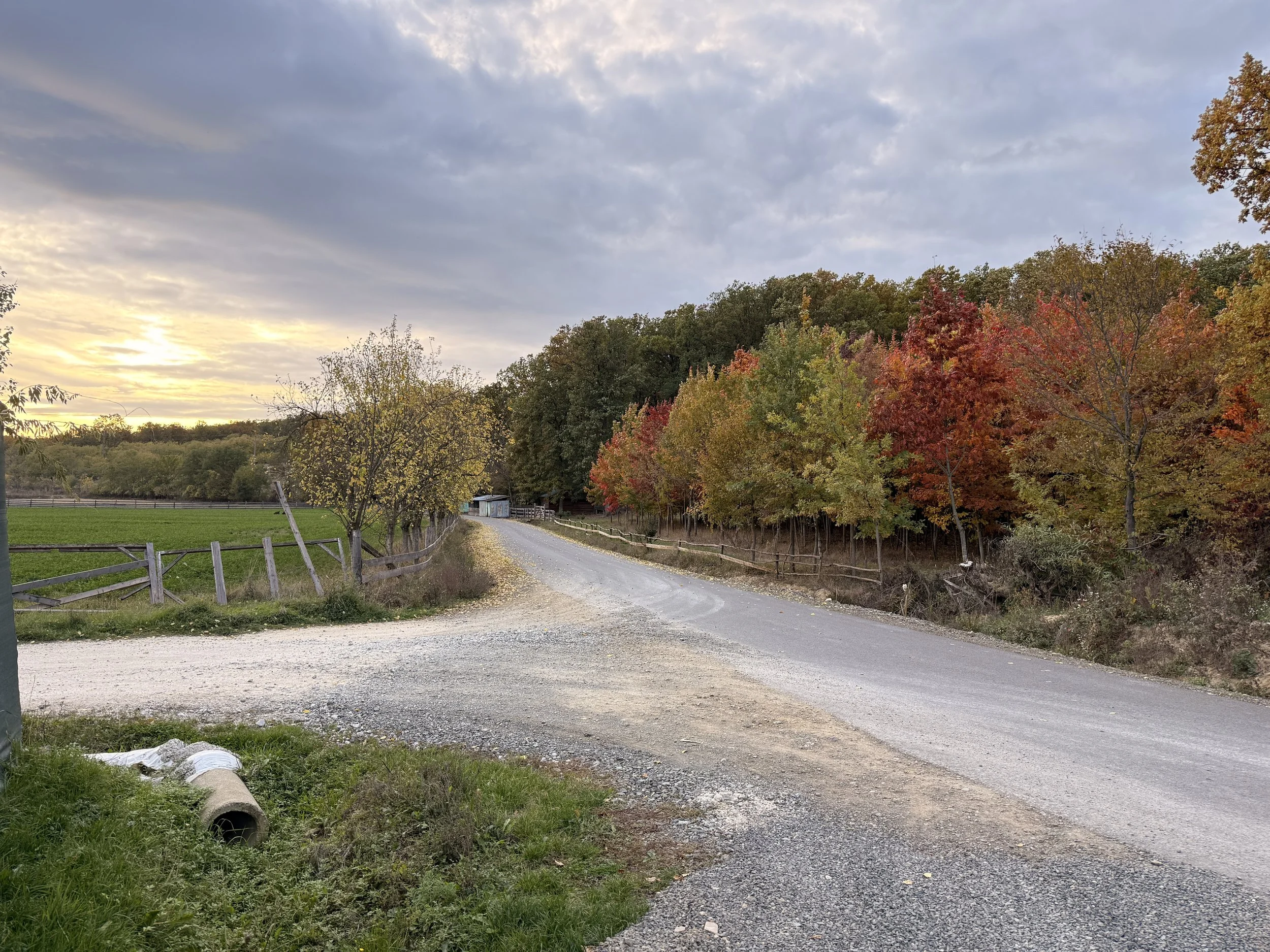 A rural dirt and gravel road curves to the right, flanked by wooden fences and trees with colorful fall foliage, with green fields on the left and a forest of trees with red, orange, and yellow leaves on the right. The sky is partly cloudy with the s