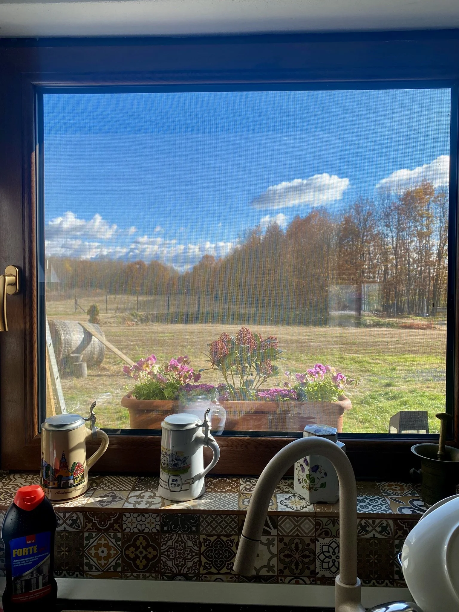 View through a window showing a garden with potted flowers, a blue sky with clouds, and trees in the background.