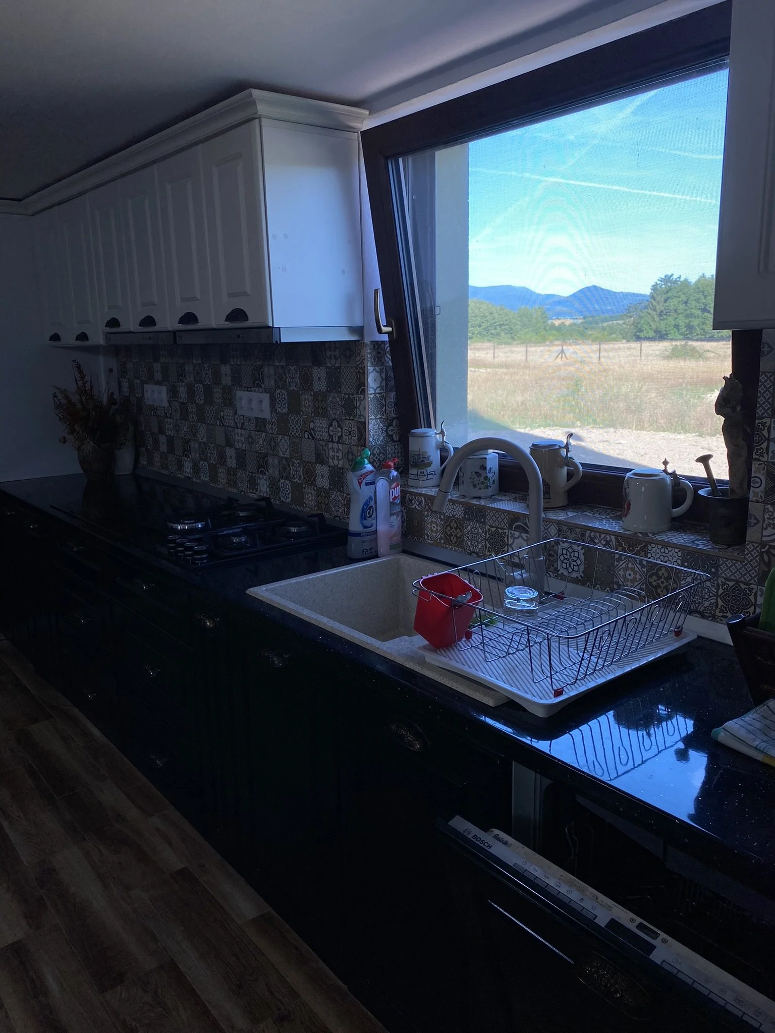 Kitchen sink with dish rack next to window showing an outdoor landscape with mountains and fields.