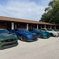 mustang club