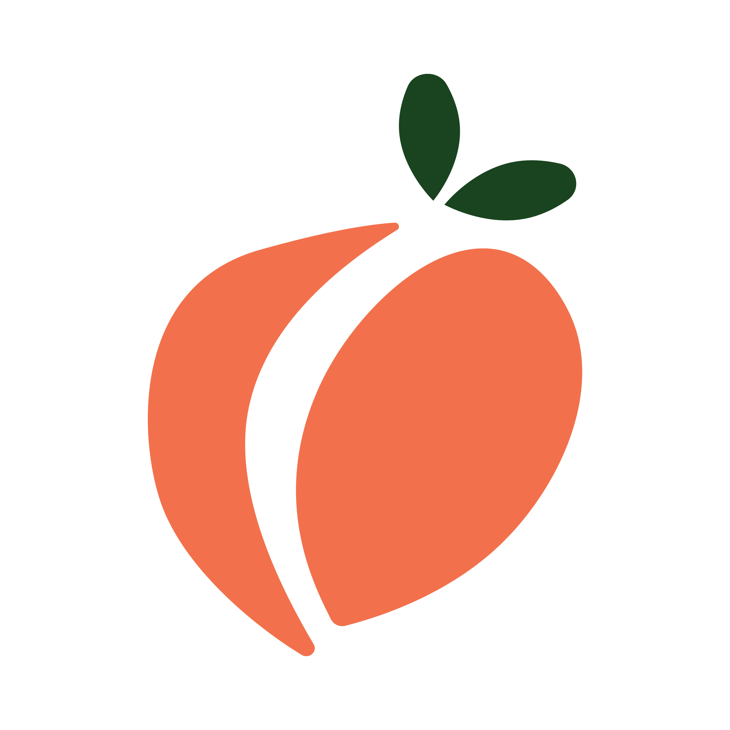 Stylized orange peach logo with green leaves