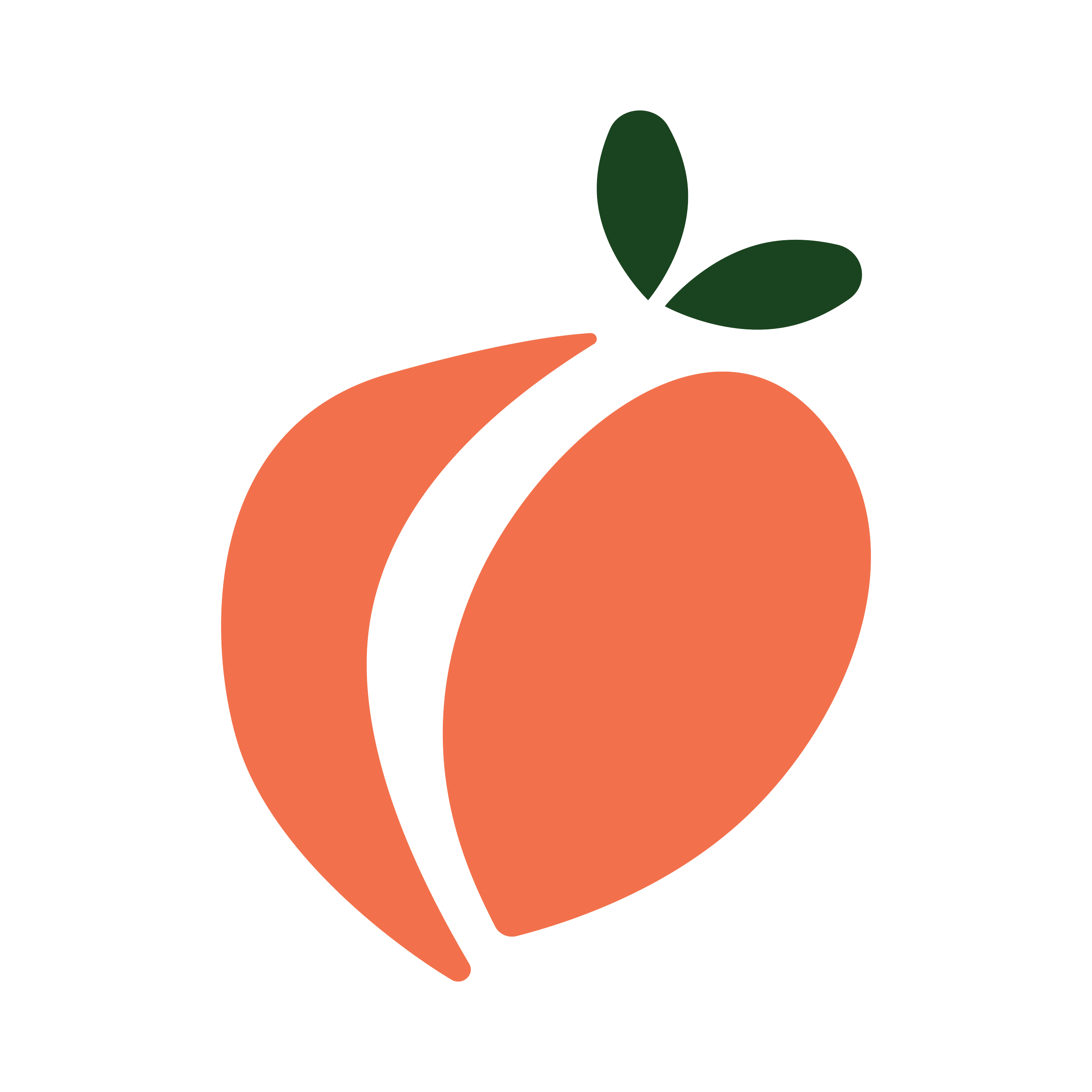 Stylized orange peach with green leaves