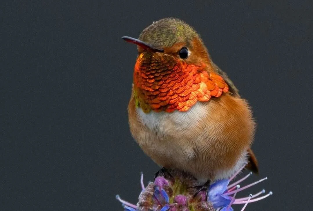 Personal Transformation Process: Embracing Change