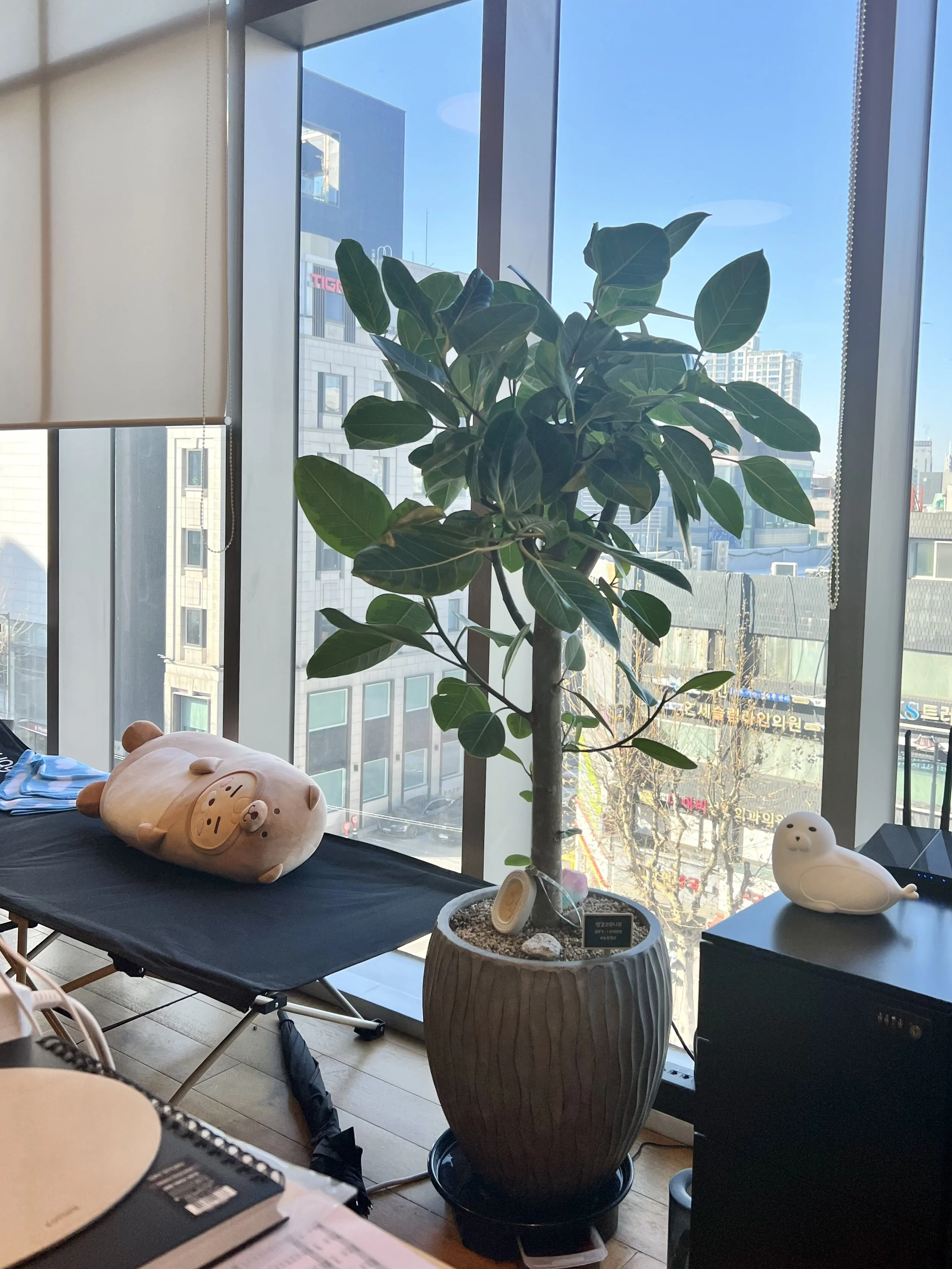 Our office essentials were a makeshift bed and a blessing tree. “Are you a Web3 company, or just a financial platform? If the former, why don’t you just go fully on-chain and offer DeFi products exclusively? If the latter, why operate in crypto at al