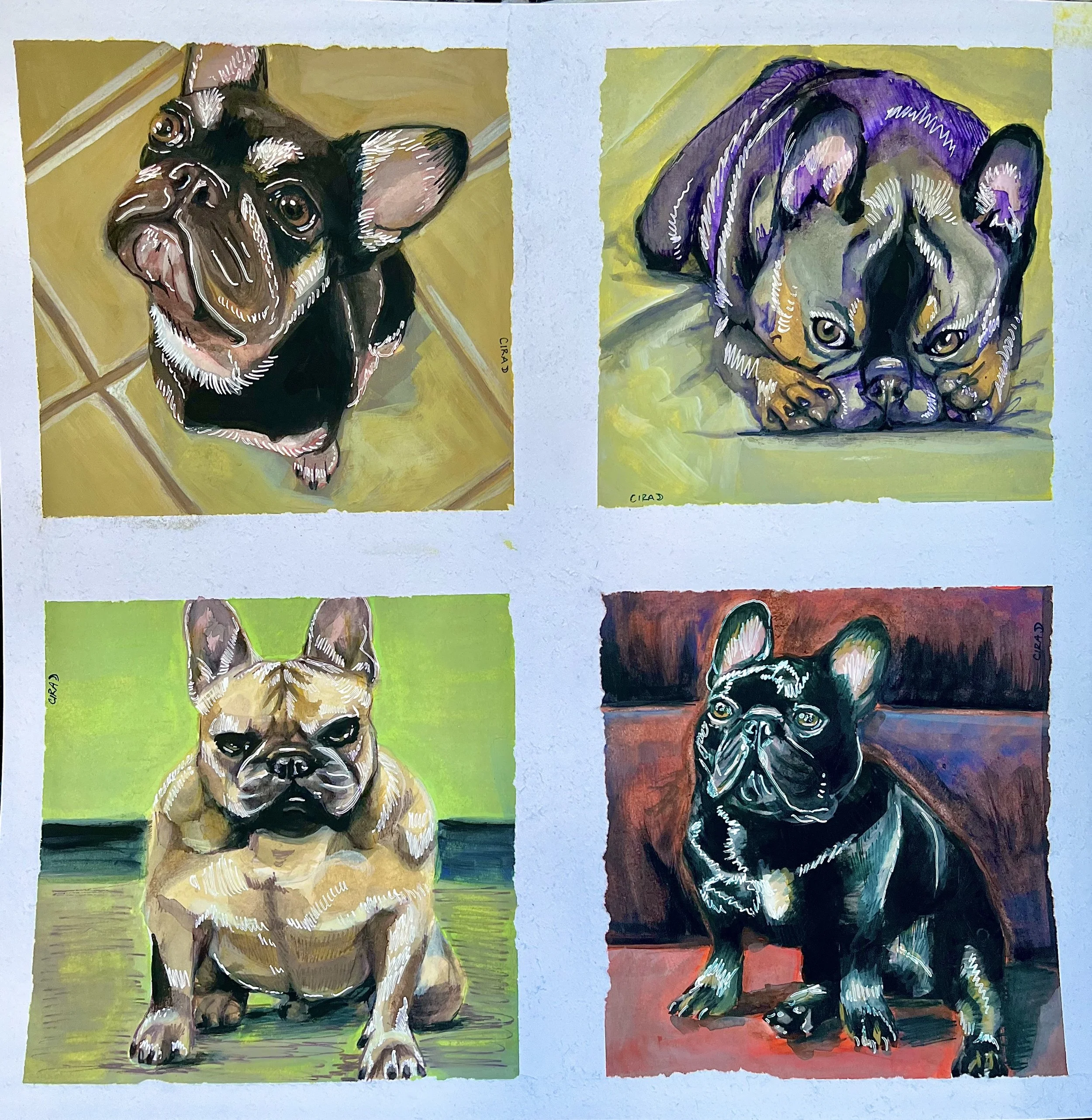 Pep, Townes, Blaze, and June - 2024




[Four colorful illustrations of French Bulldogs arranged in a 2x2 grid. The top left dog is looking up with large ears, the top right shows a dog lying down with his head between his paws, the bottom left featu