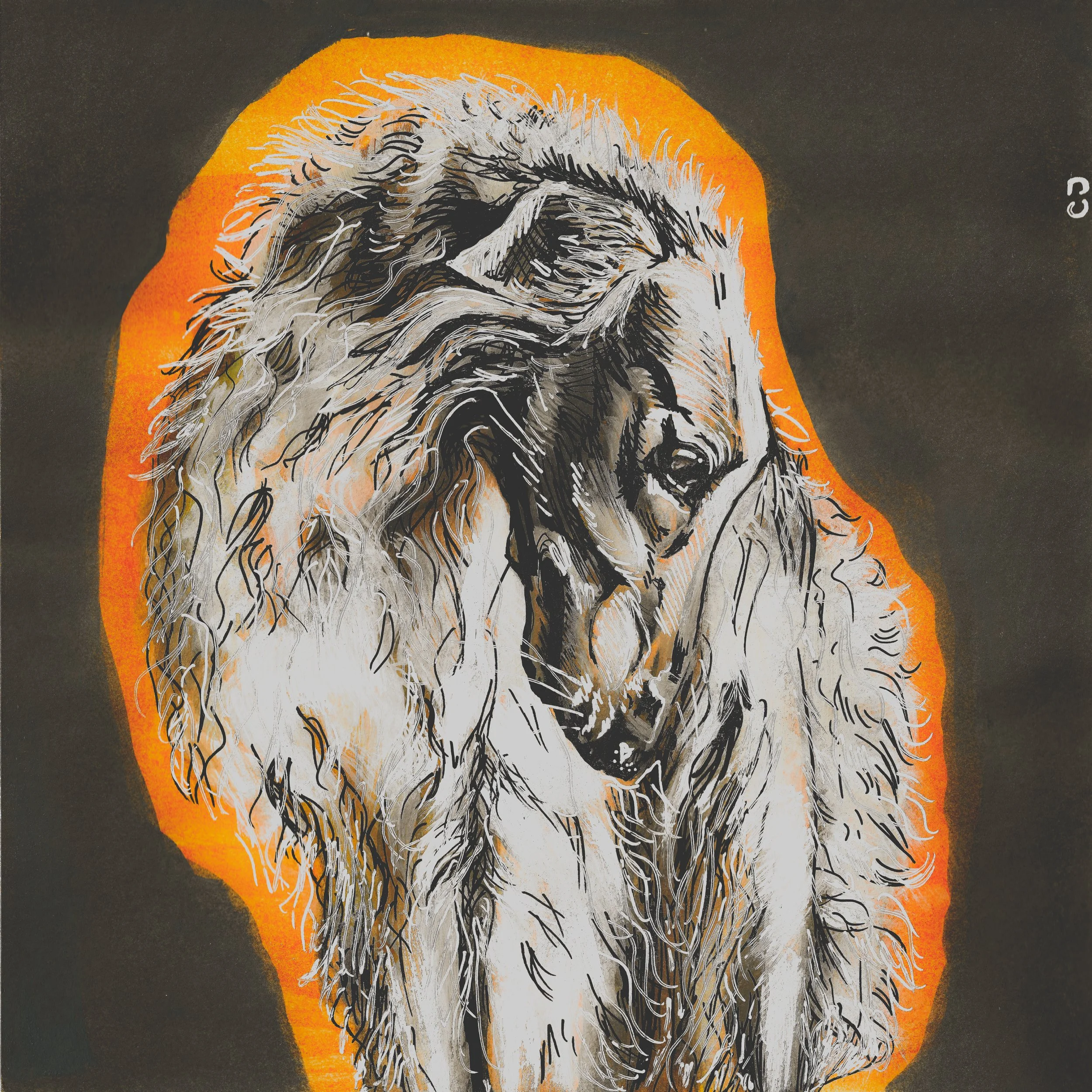 Borzoi - 2023




Artwork of a white borzoi dog, set against an orange background with a dark background surrounding it.