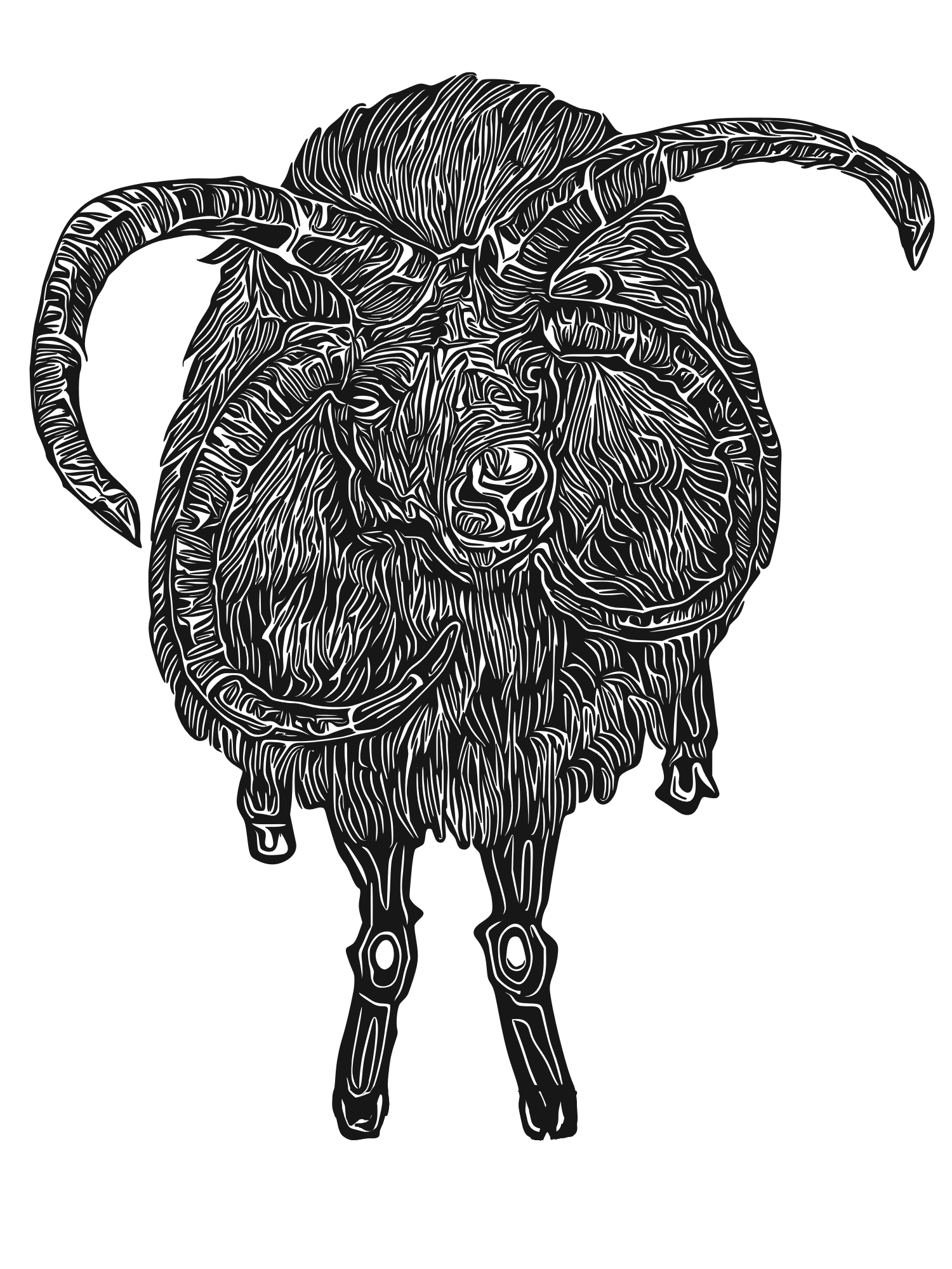 Line drawing of a mountain goat's face with horns, set against a black background.