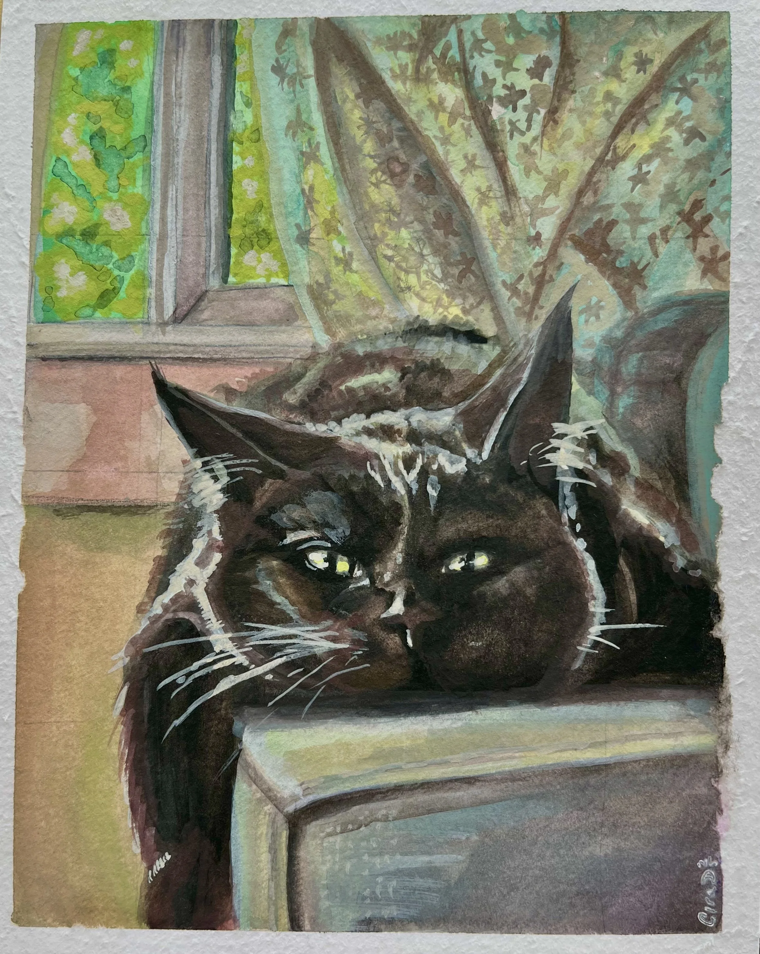 Sasha - 2025



 
[A watercolor painting of a black cat lying on a couch ledge by a window with a view of lush green trees and a blue sky outside.]