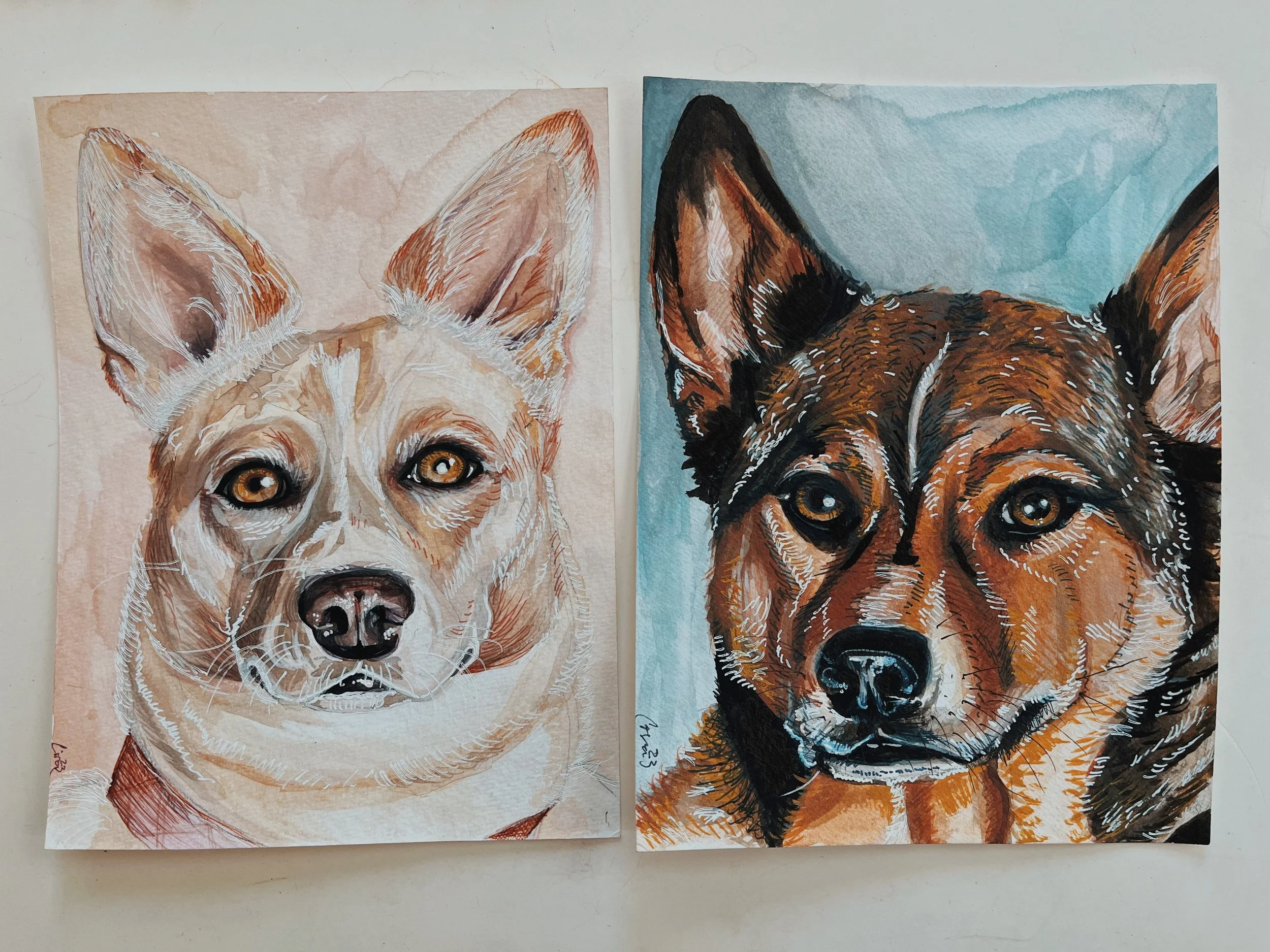2022




[Two watercolor paintings of dog portraits. The left features a cream-colored dog with large ears and amber eyes on a light pink background. The right features a brown and black dog with erect ears and amber eyes on a blue background.]