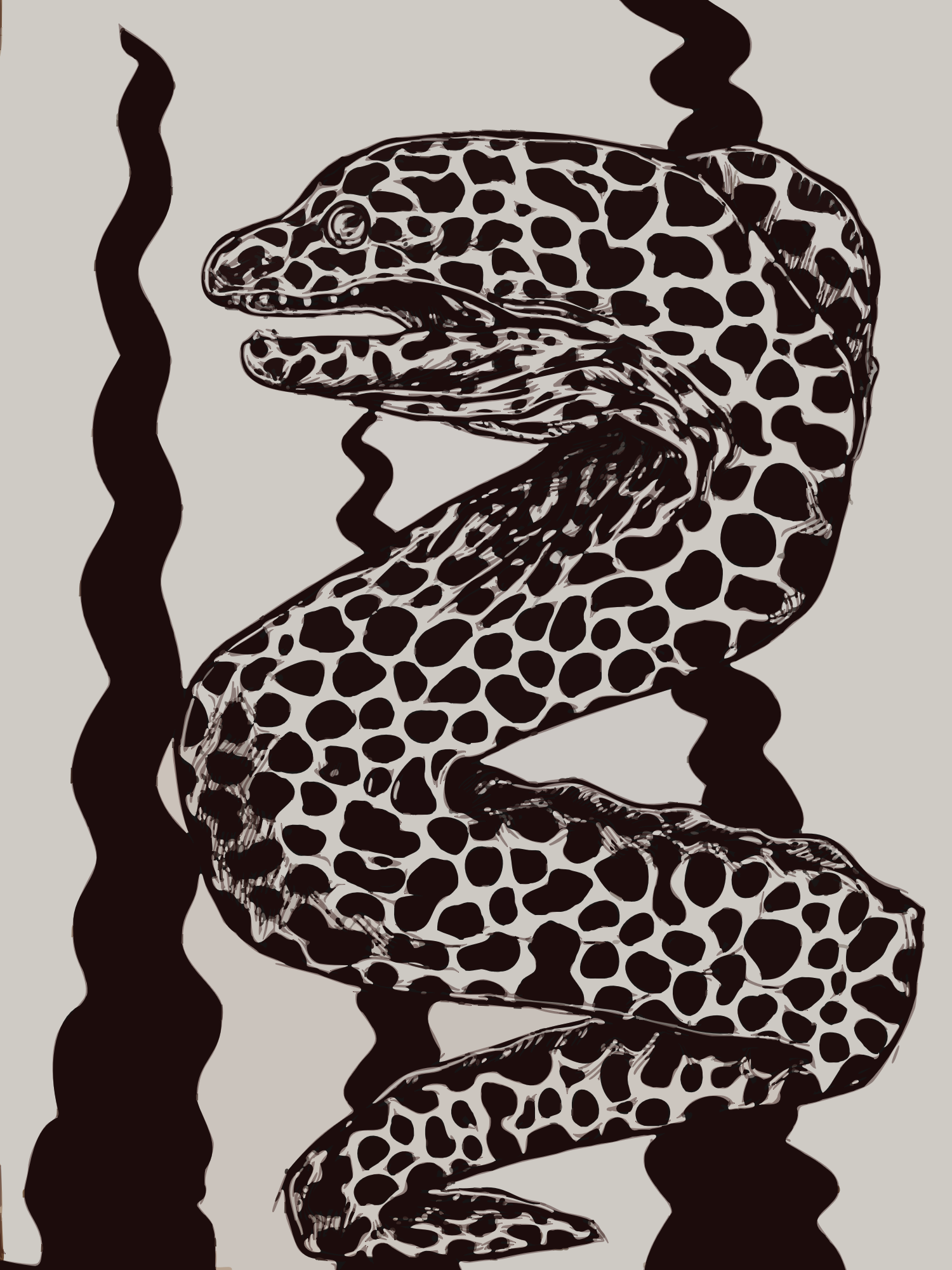 Stylized illustration of a gecko with black spots on its body, set against a light background with black wavy lines.