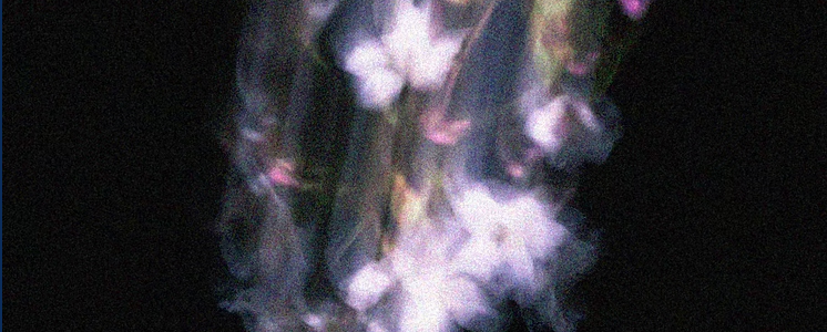 Abstract image with purple, pink, and white blurred shapes against a dark background