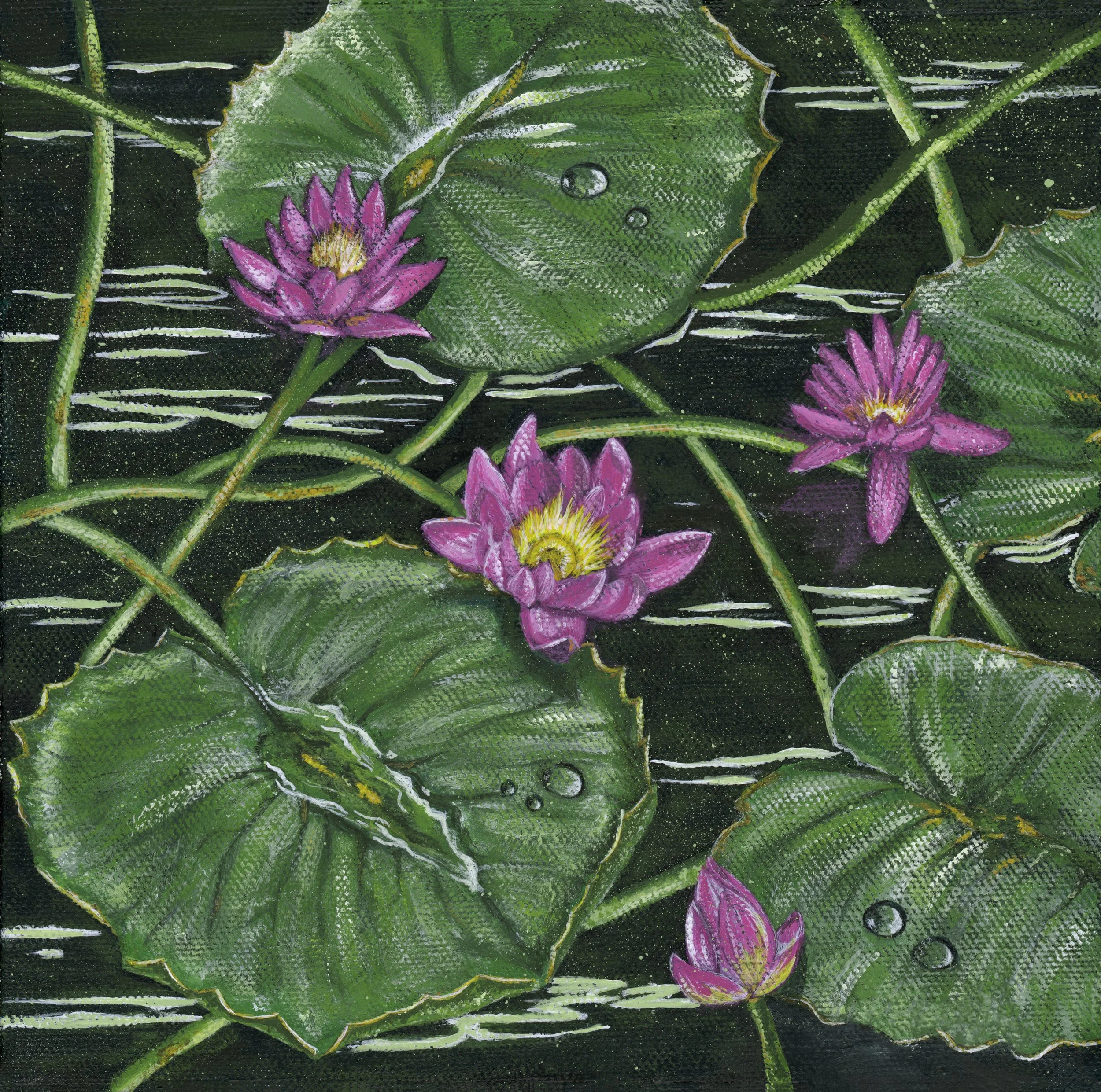 Explore the Artwork  of Northern Palms Studio