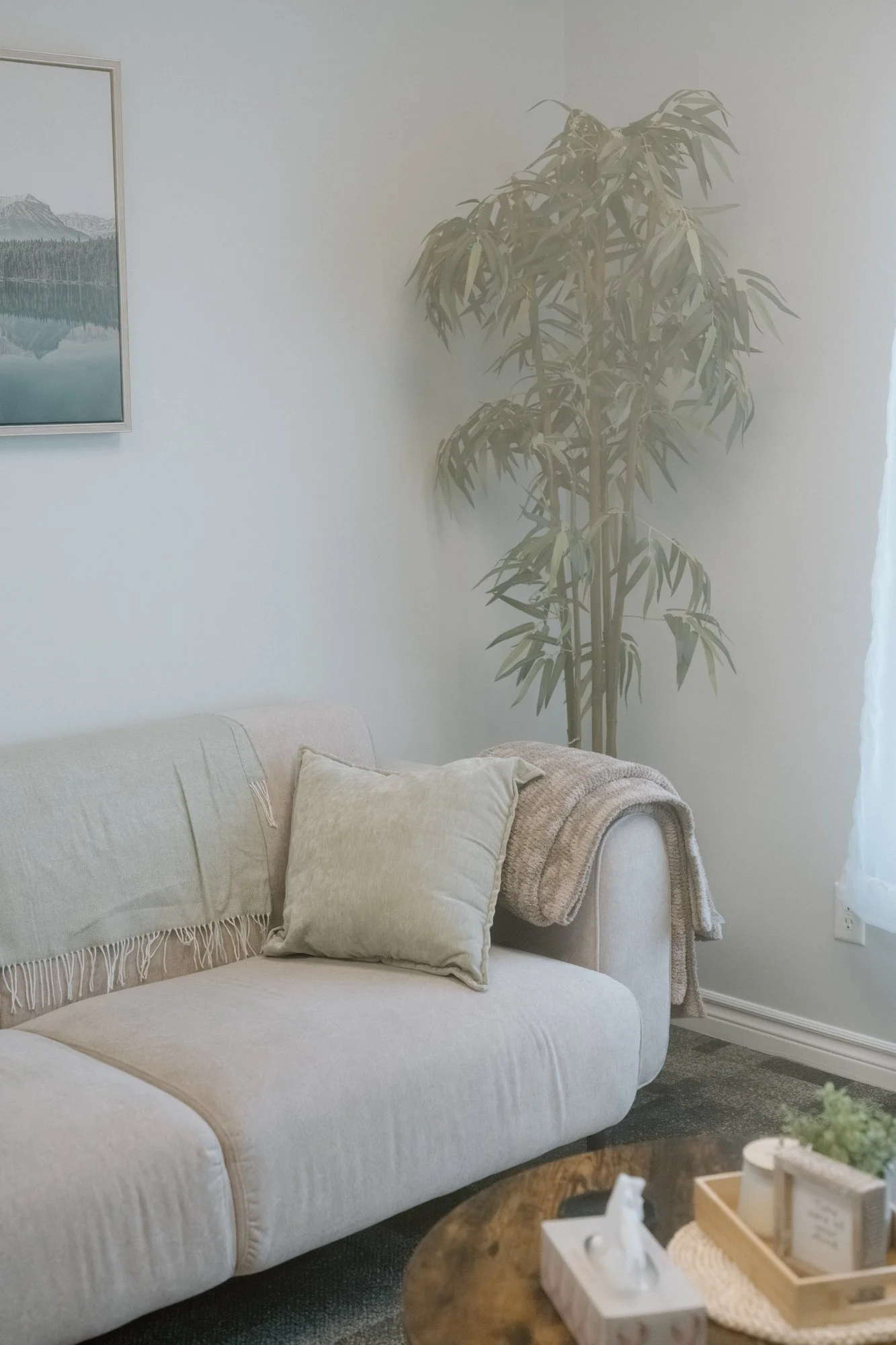 Living room with a white sofa, beige pillows, a blanket, a large potted plant, wall art of a mountain and lake, and a round wooden coffee table with decorative items.