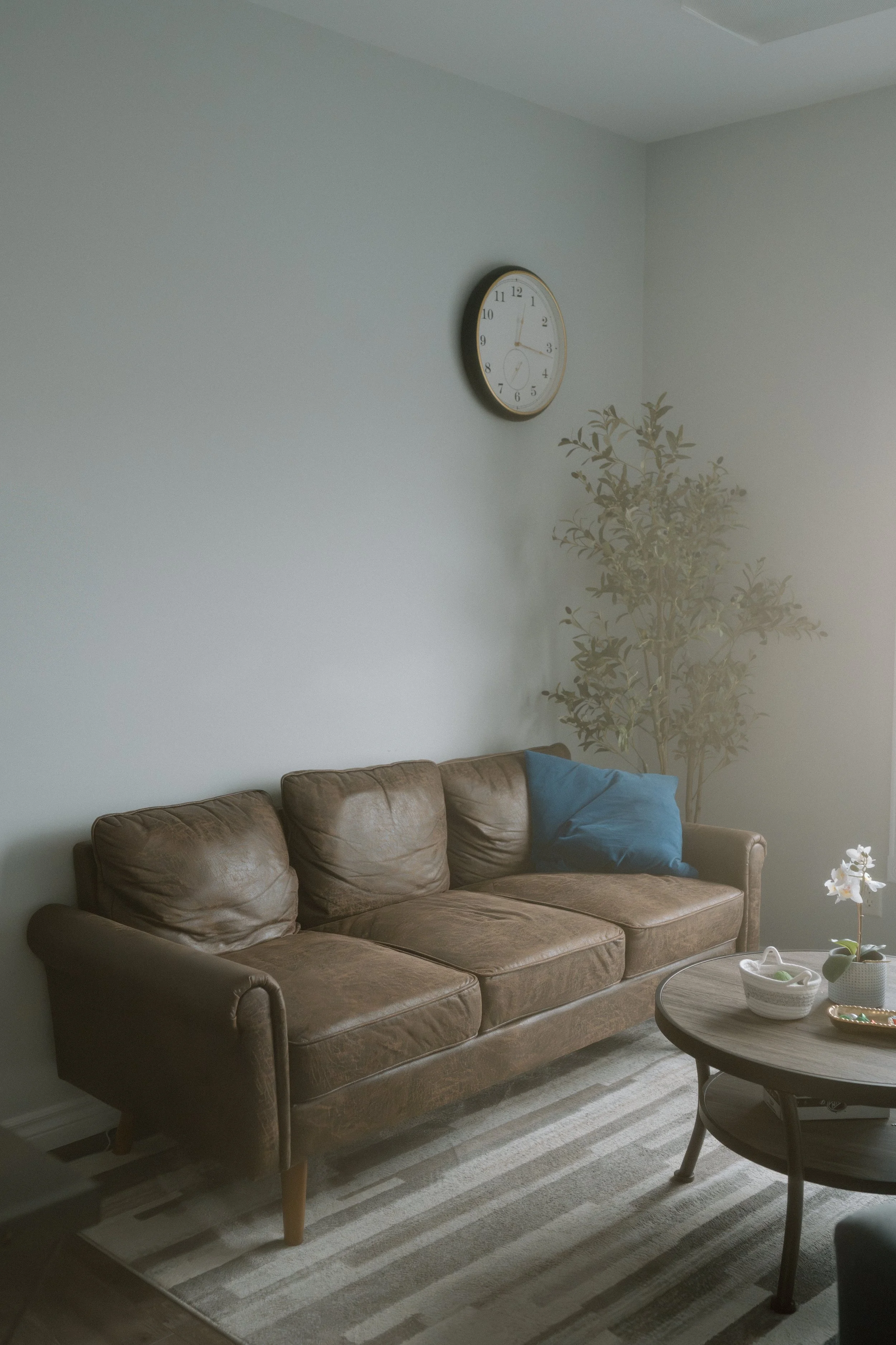 A cozy living room with a brown leather sofa, a round wooden coffee table with a decorative bowl and orchid plant, a large striped area rug, a wall clock, and a potted plant in the corner, with sunlight streaming in.