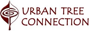 Urban Tree Connection