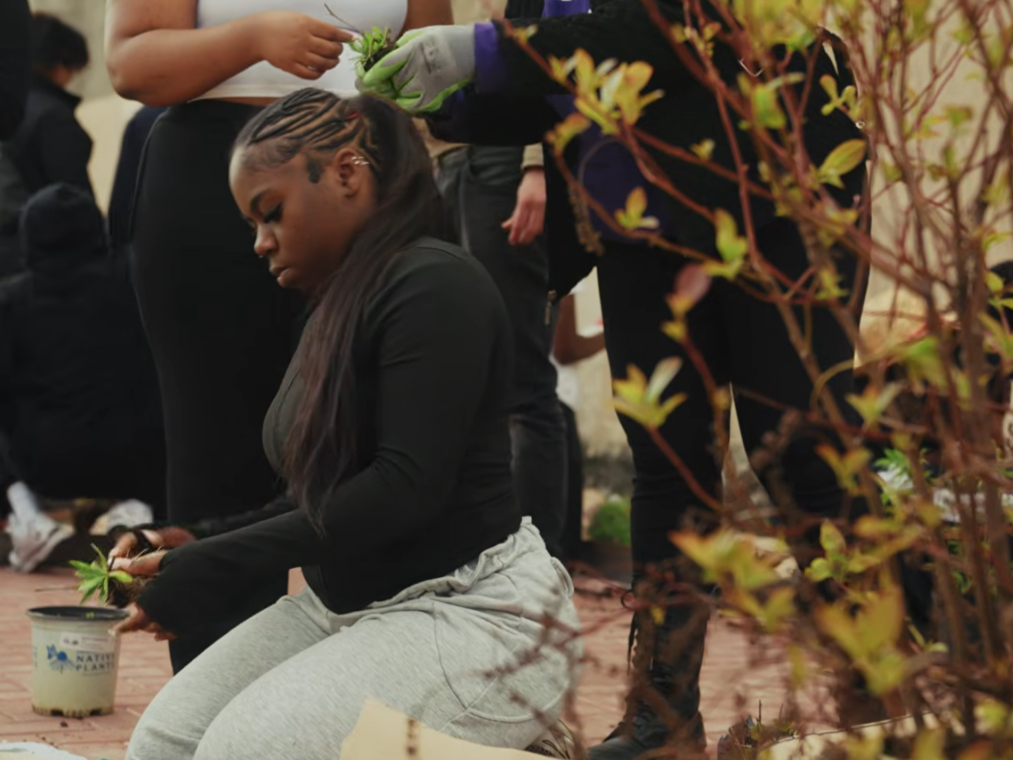 Young LeadIN participant preparing a plant to go into the soil