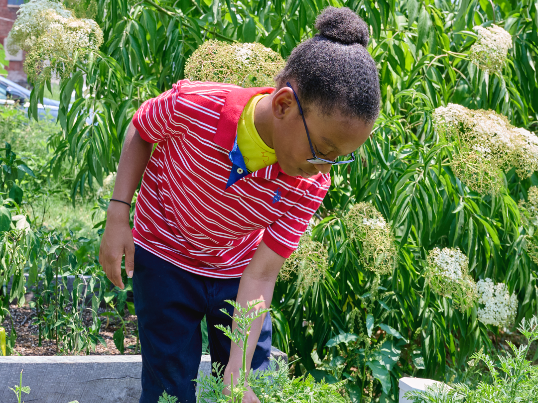 A young boy with glasses, wearing a red and white striped shirt over a yellow T-shirt, is gardening in a lush outdoor garden with green plants and white flowers.