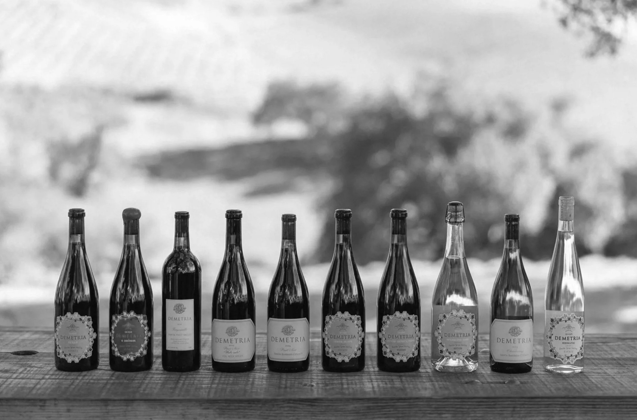 A line of nine bottles of wine or alcohol on a wooden surface outdoors, with trees and a cloudy sky in the background.