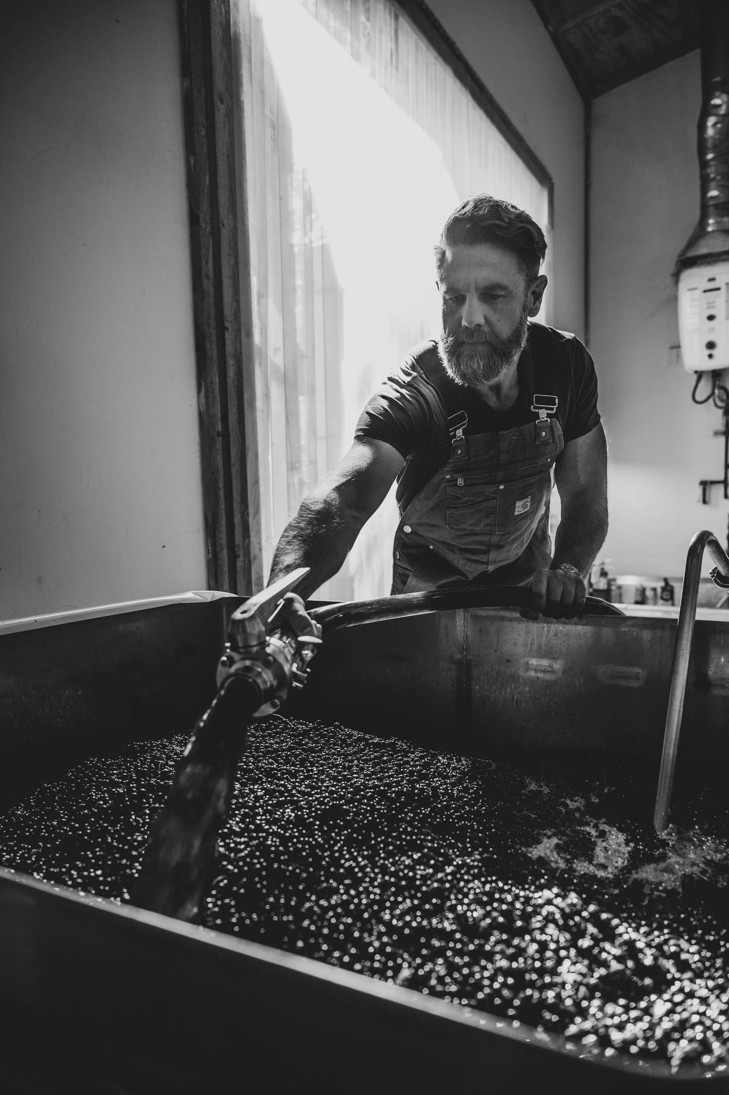 A man with a beard and wearing overalls is pouring liquid into a large tank filled with small dark objects, indoors near a window with sunlight shining in.