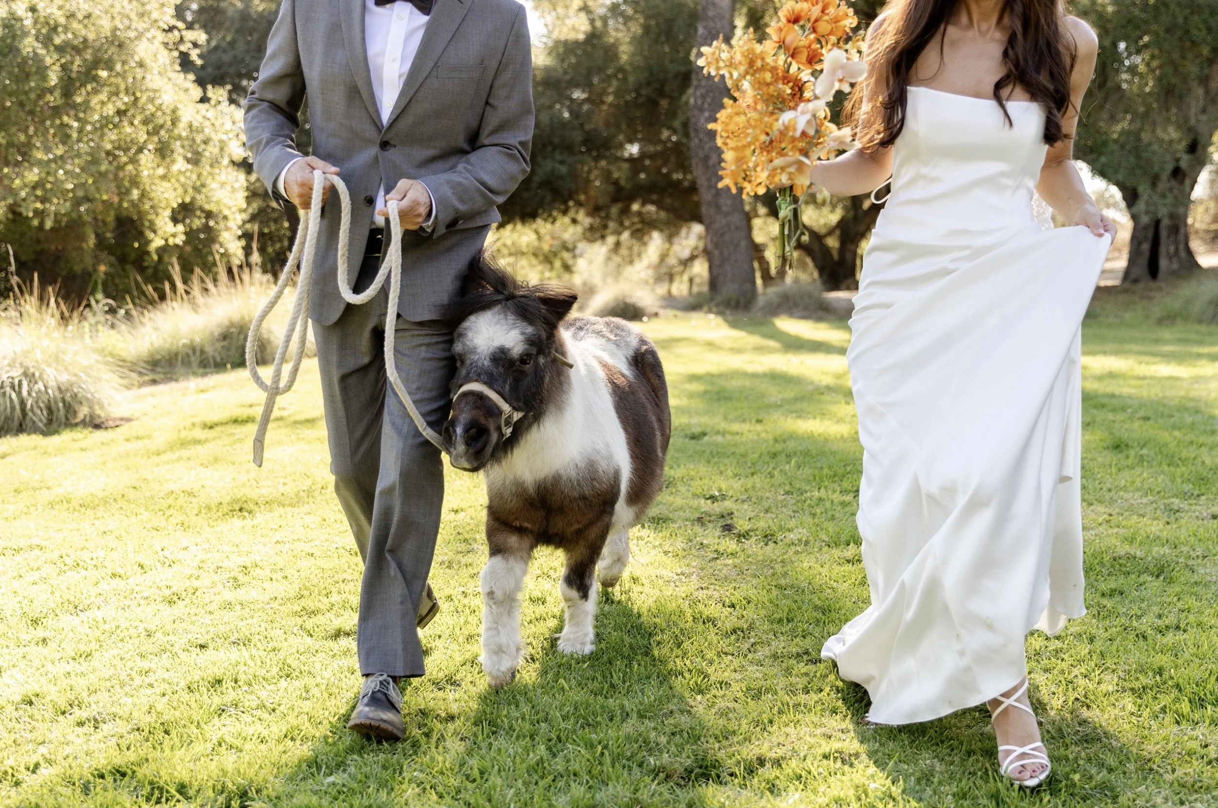 A bride in a white wedding dress holding a bouquet of orange and white flowers walking on a grassy lawn with a groom in a gray suit, accompanied by a small horse or pony on a leash, in an outdoor garden setting with trees and sunlight.