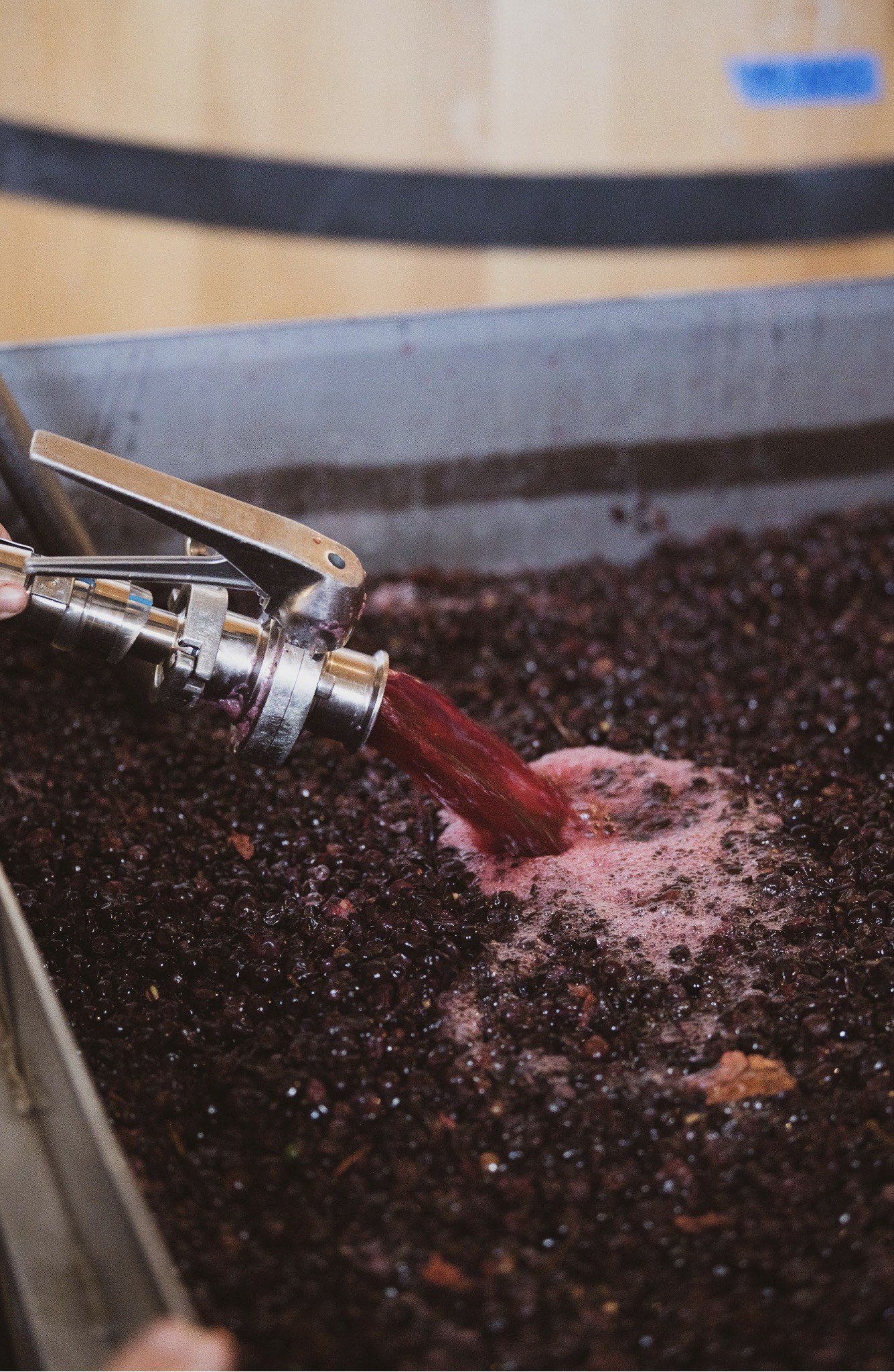 Red wine being poured into a tank filled with crushed grapes, part of the wine-making process.