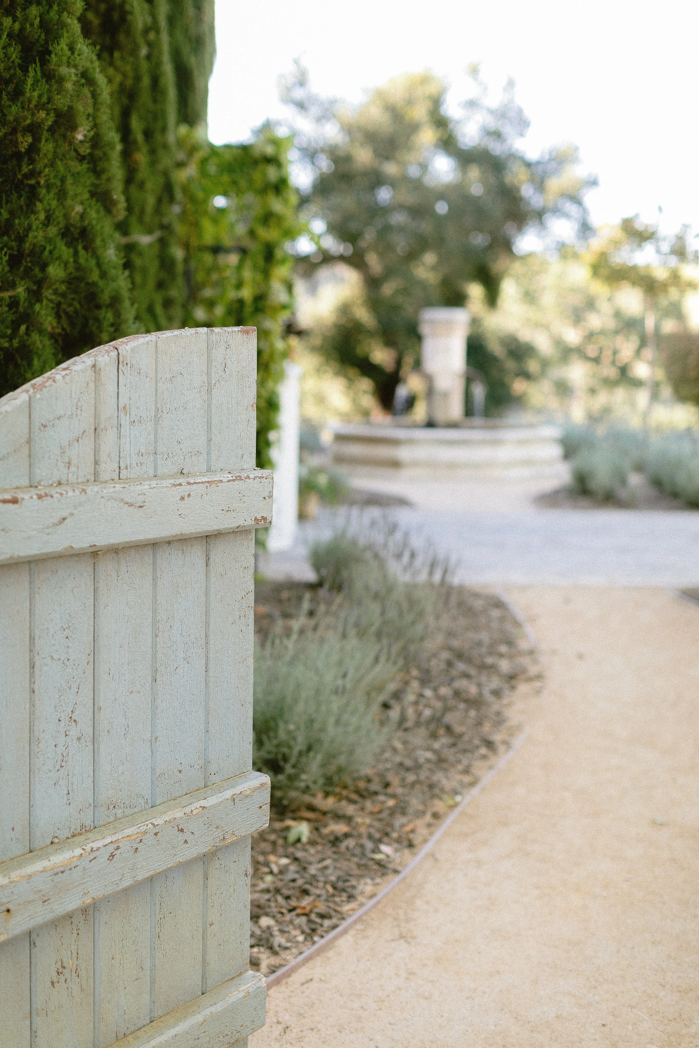 A weathered white wooden gate partially opened, revealing a garden path lined with plants and trees in the background.