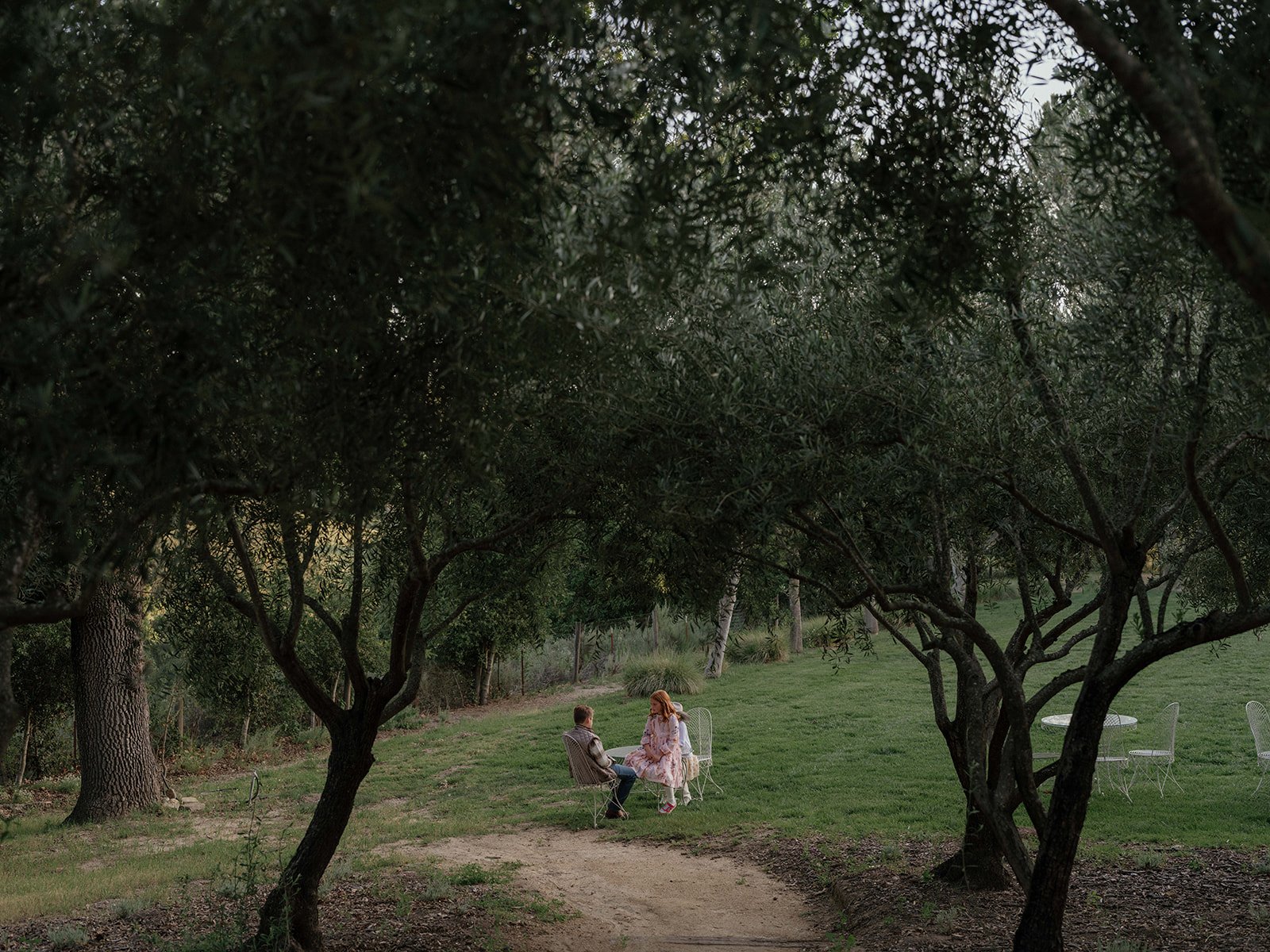 A man and a woman sitting on chairs in a grassy yard under large trees, having a conversation with greenery and additional chairs in the background.