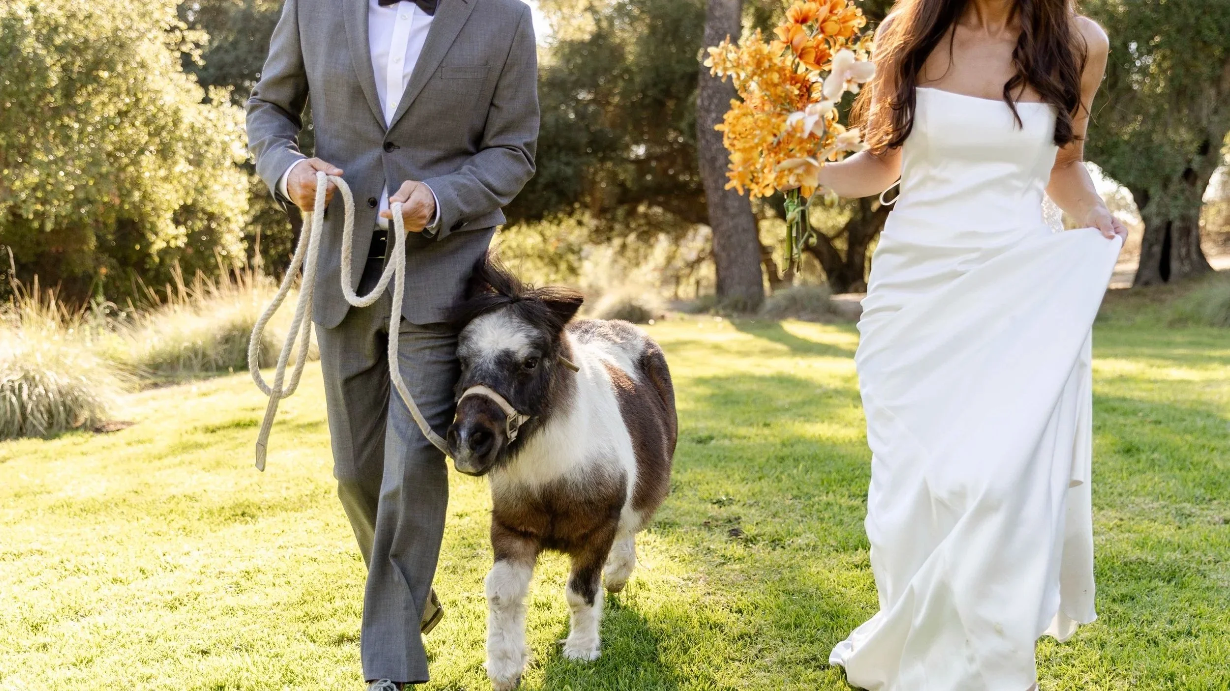 A man in a grey suit holding a rope leads a small horse or pony, while a woman in a white wedding dress holds a bouquet of orange and white flowers. The scene takes place outdoors on a grassy area with trees in the background.