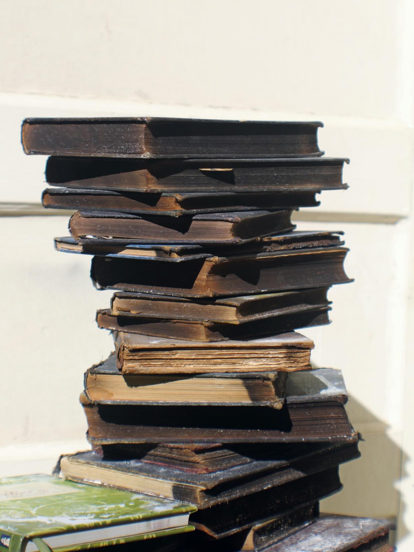 Unearthed, timeworn, and waiting.

COMING OUT SOON. Found in the Fog 💨

Last Sunday of the month &bull; MarinaSF &bull; May2026