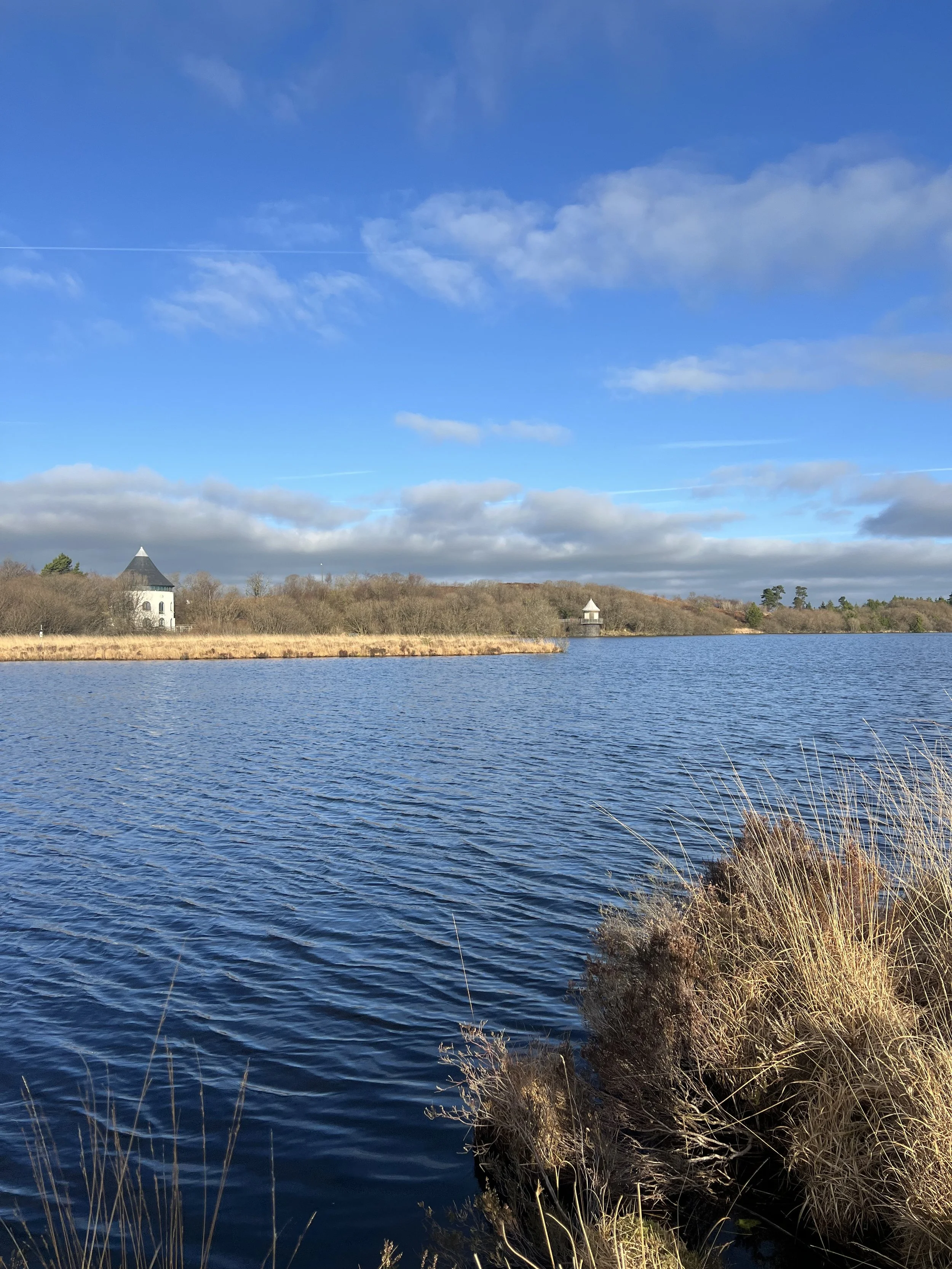 Llyn Llech Owain Country Park, Carmarthenshire