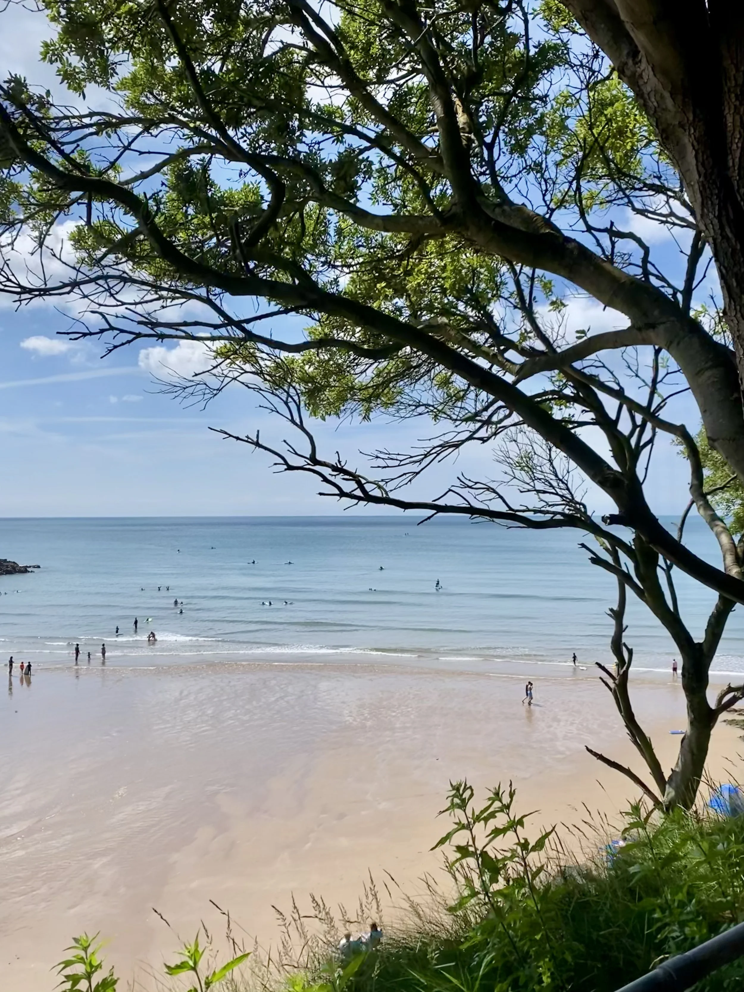 Footpath view over to Caswell Bay, Gower, Swansea