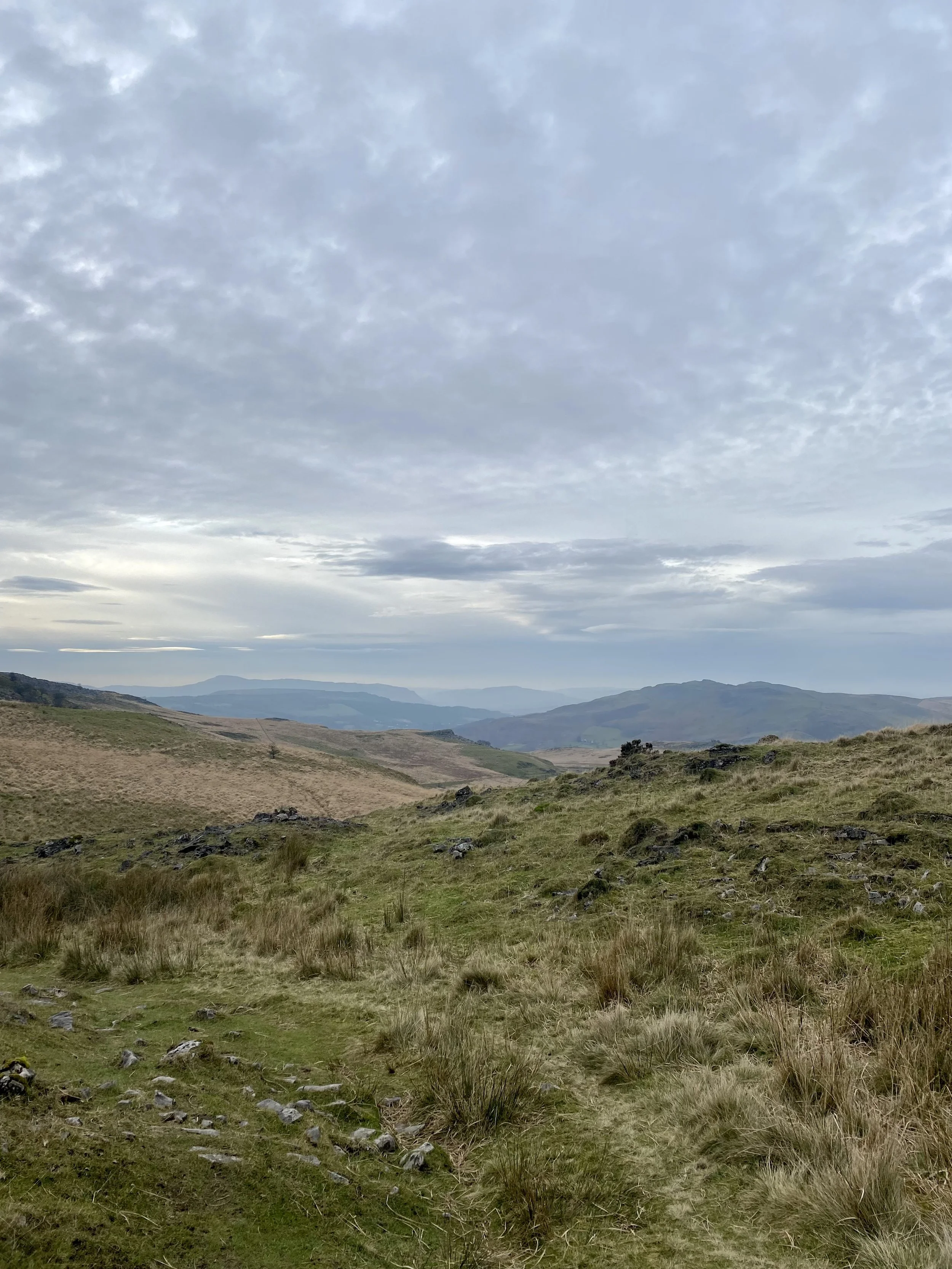 Penwyllt in Bannau Brycheiniog Breacon Beacons, near Craig-y-Nos, Powys
