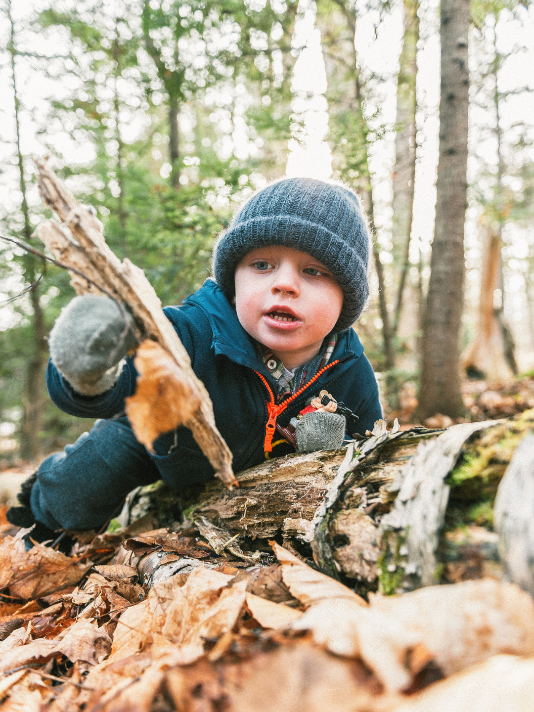 Young boy in a blue jacket and knit cap crawling on the forest floor over fallen leaves and logs.