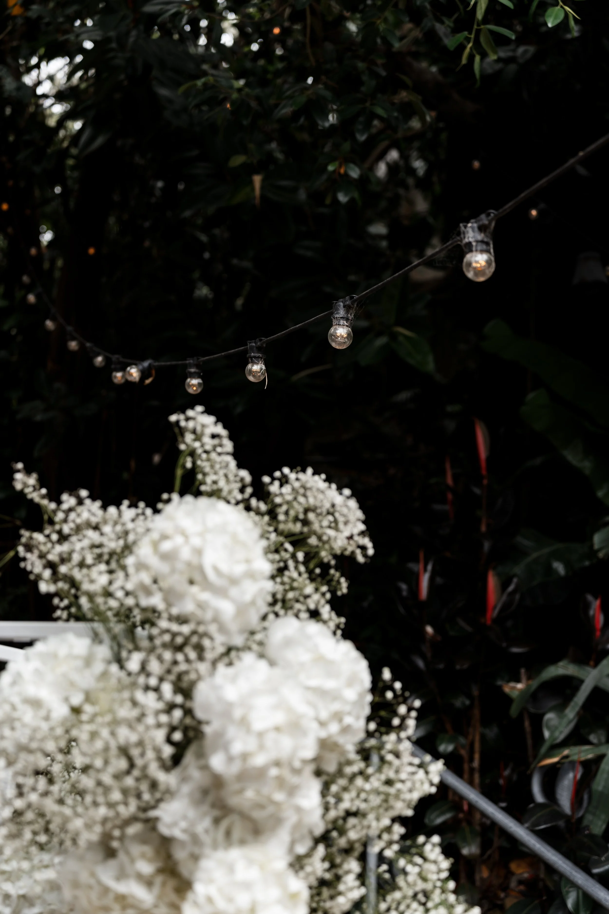 String of outdoor string lights hanging above white flower arrangements with small buds, against dark foliage background.