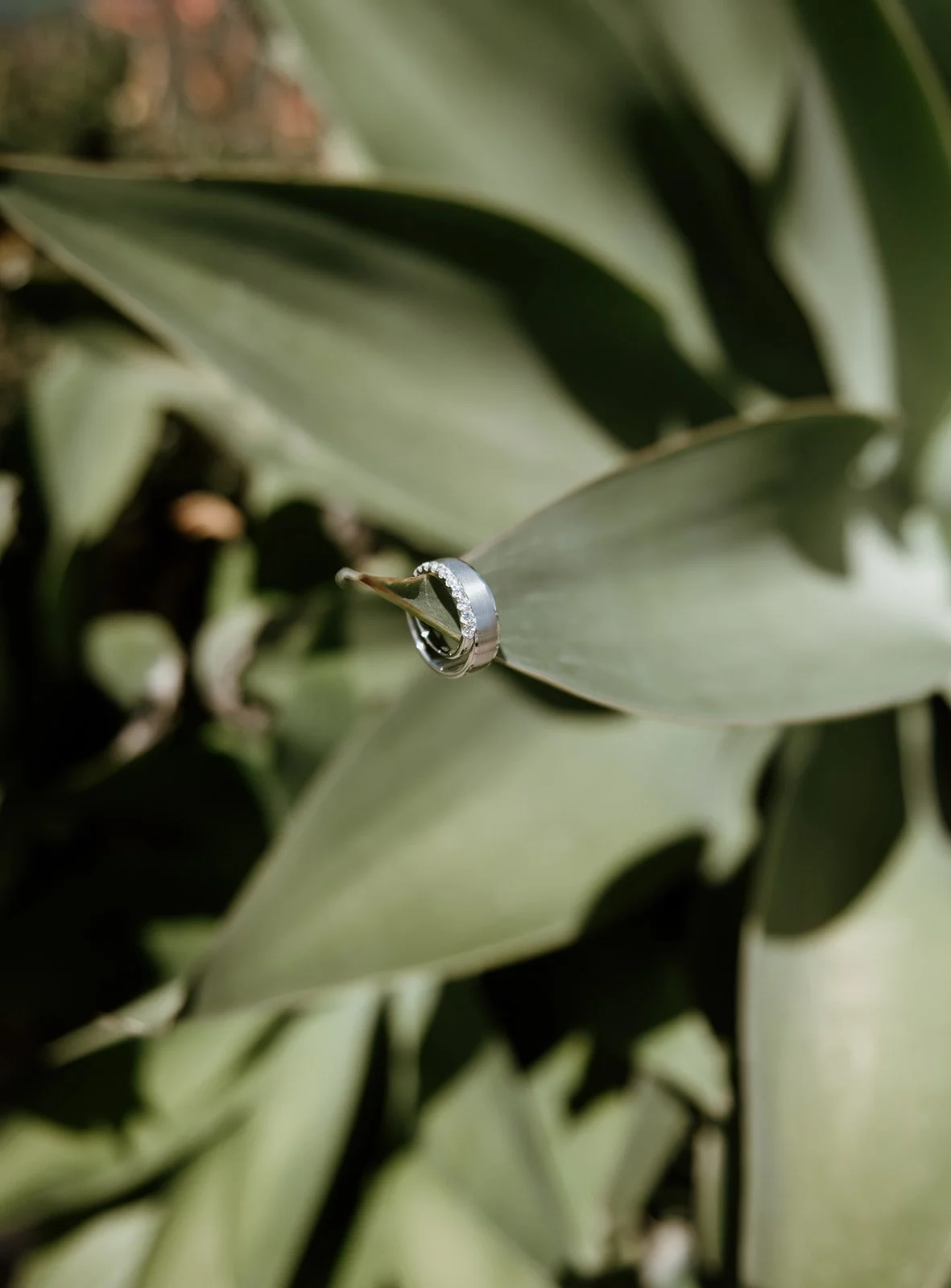 A close-up of a silver wedding band ring placed on the tip of a green leaf, with blurred green foliage in the background.