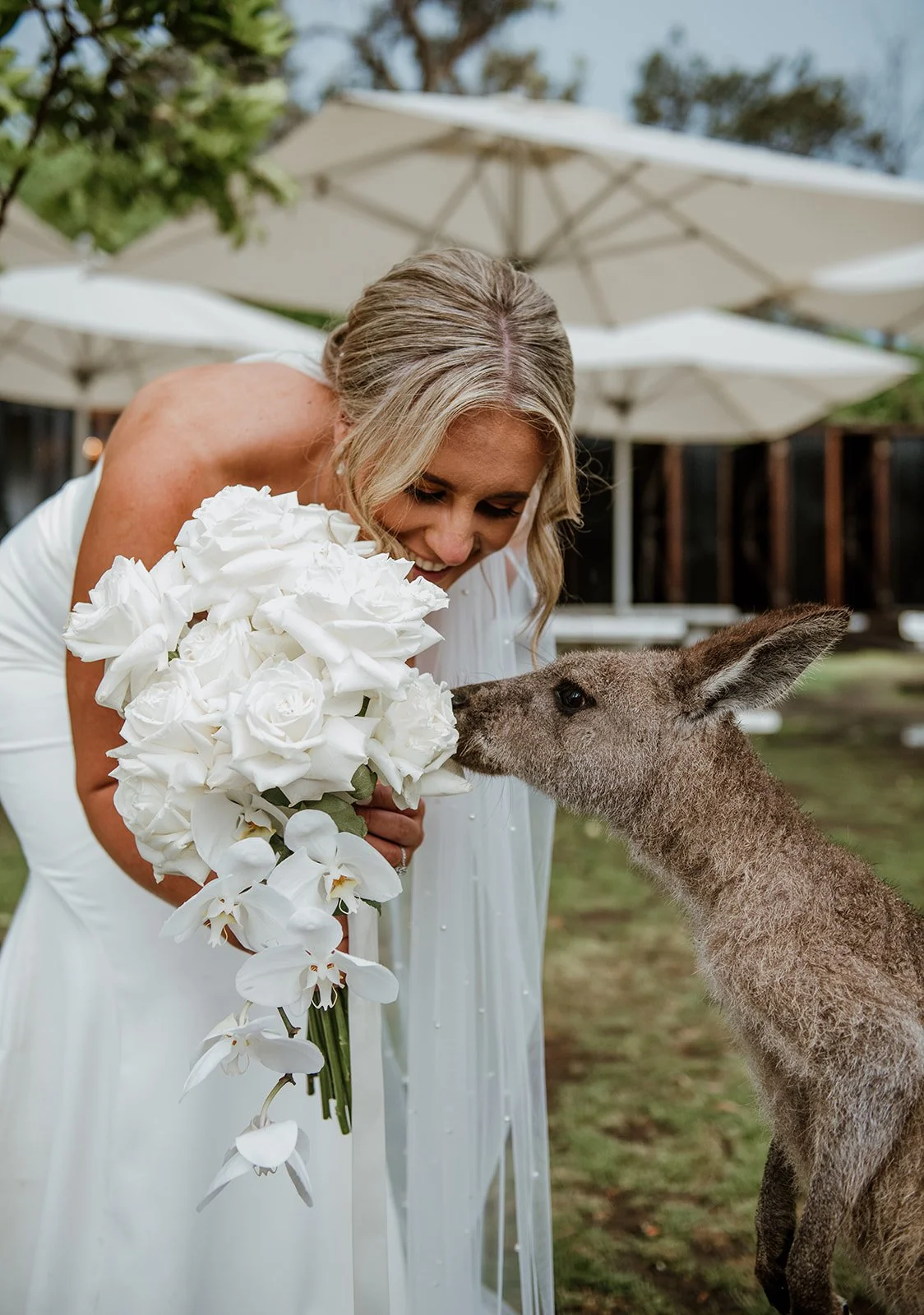 A woman in a white dress holding a bouquet of white flowers, leaning close to a young kangaroo, on a grassy outdoor setting with umbrellas in the background.