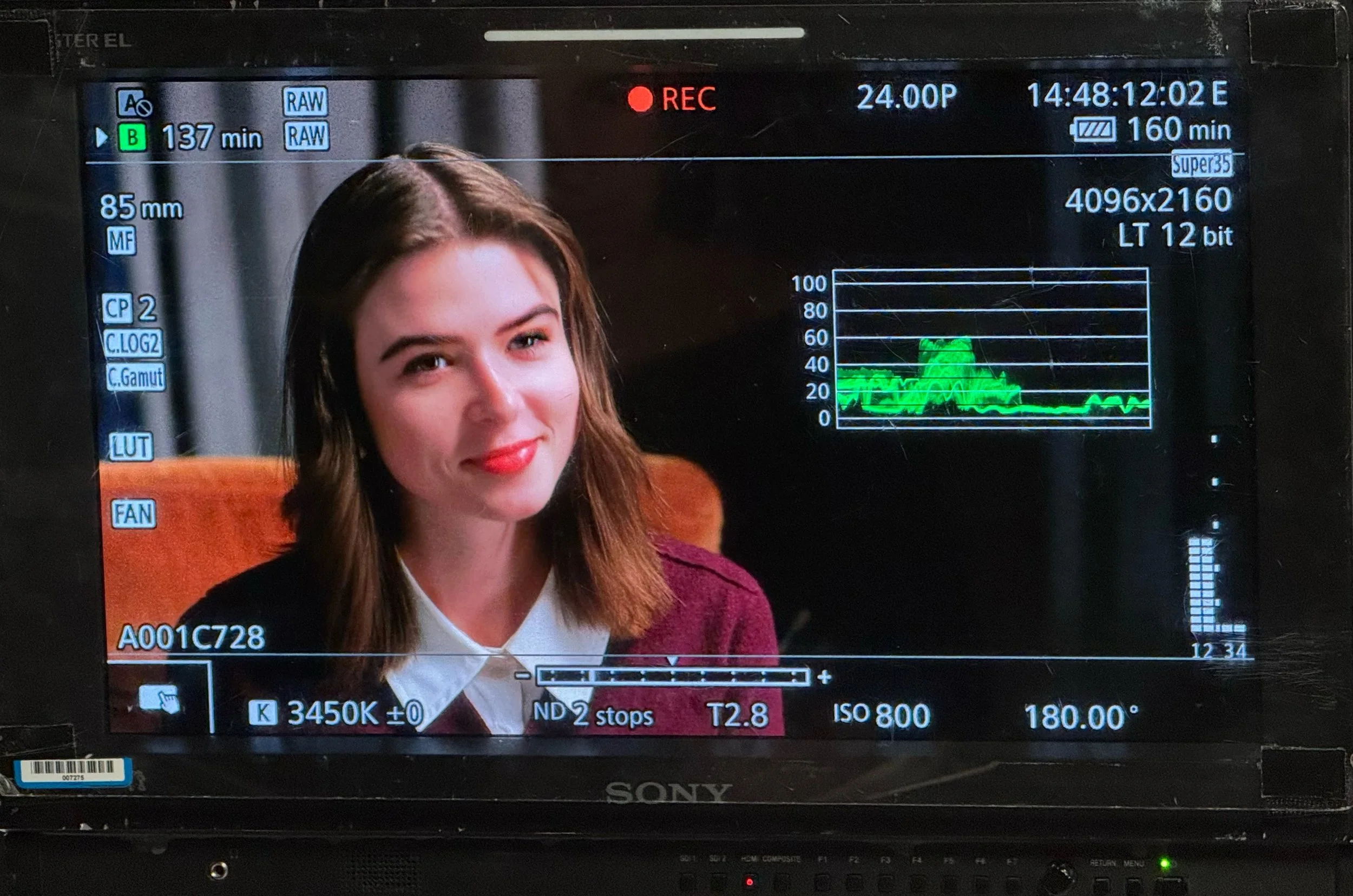 Canvasback BTS 1.JPG