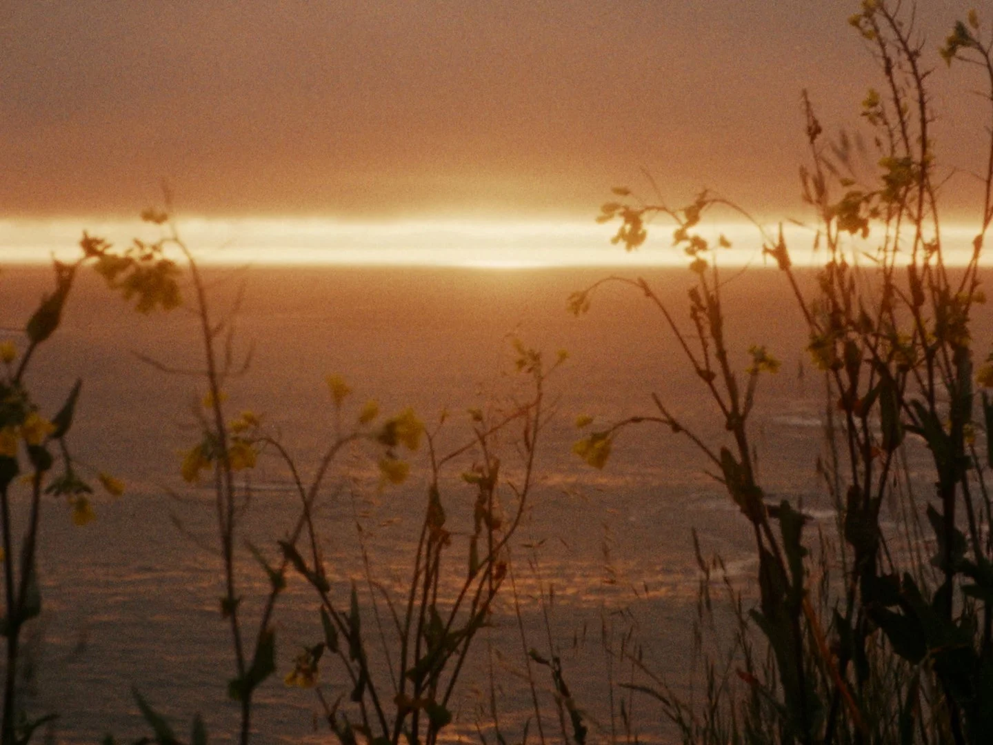 Sequence 02.00_18_19_19.Still056.jpg