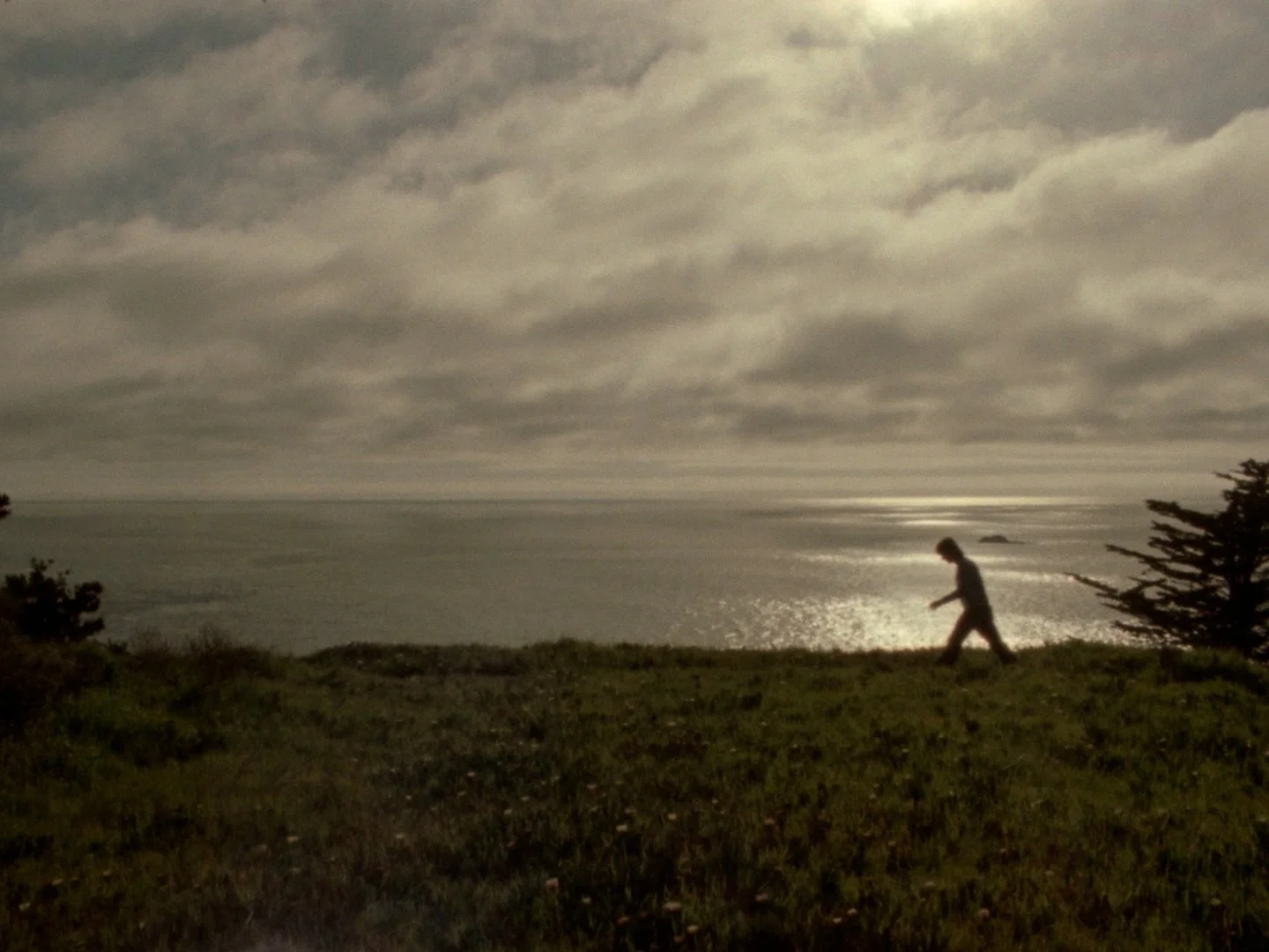 Sequence 02.00_15_58_00.Still005.jpg